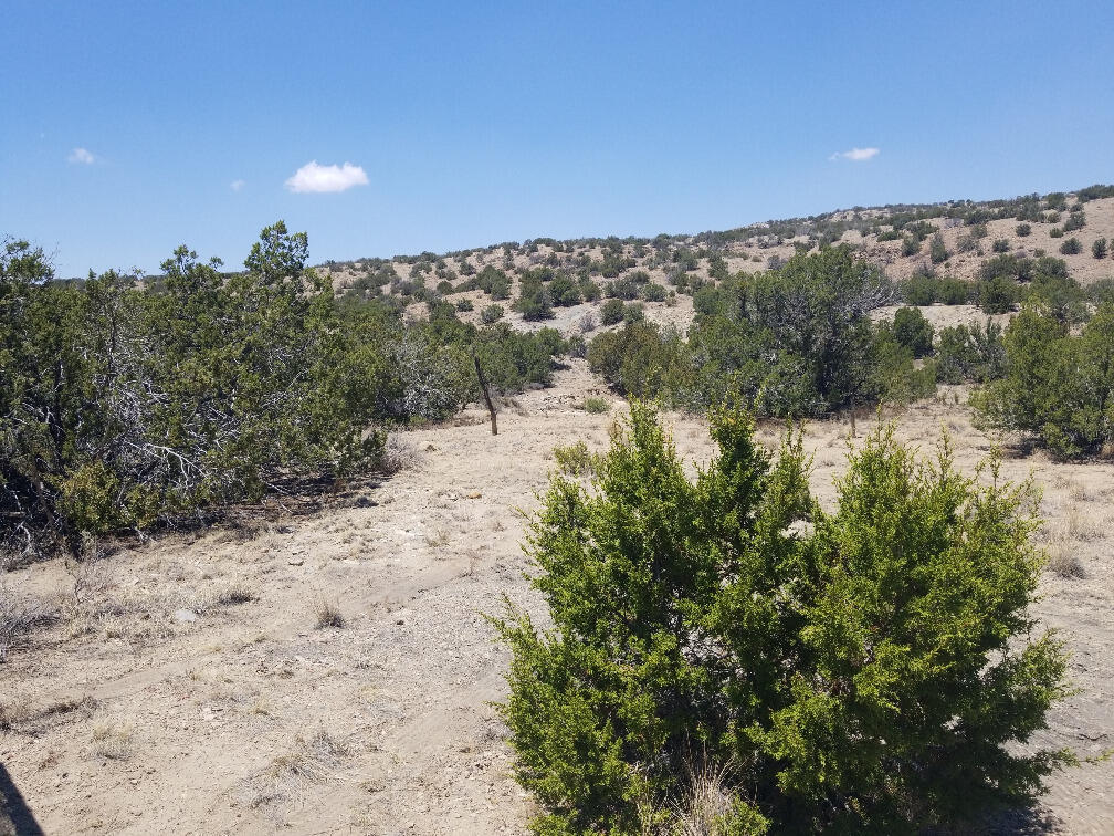 2763 A Nm 14, Madrid, NM 87010