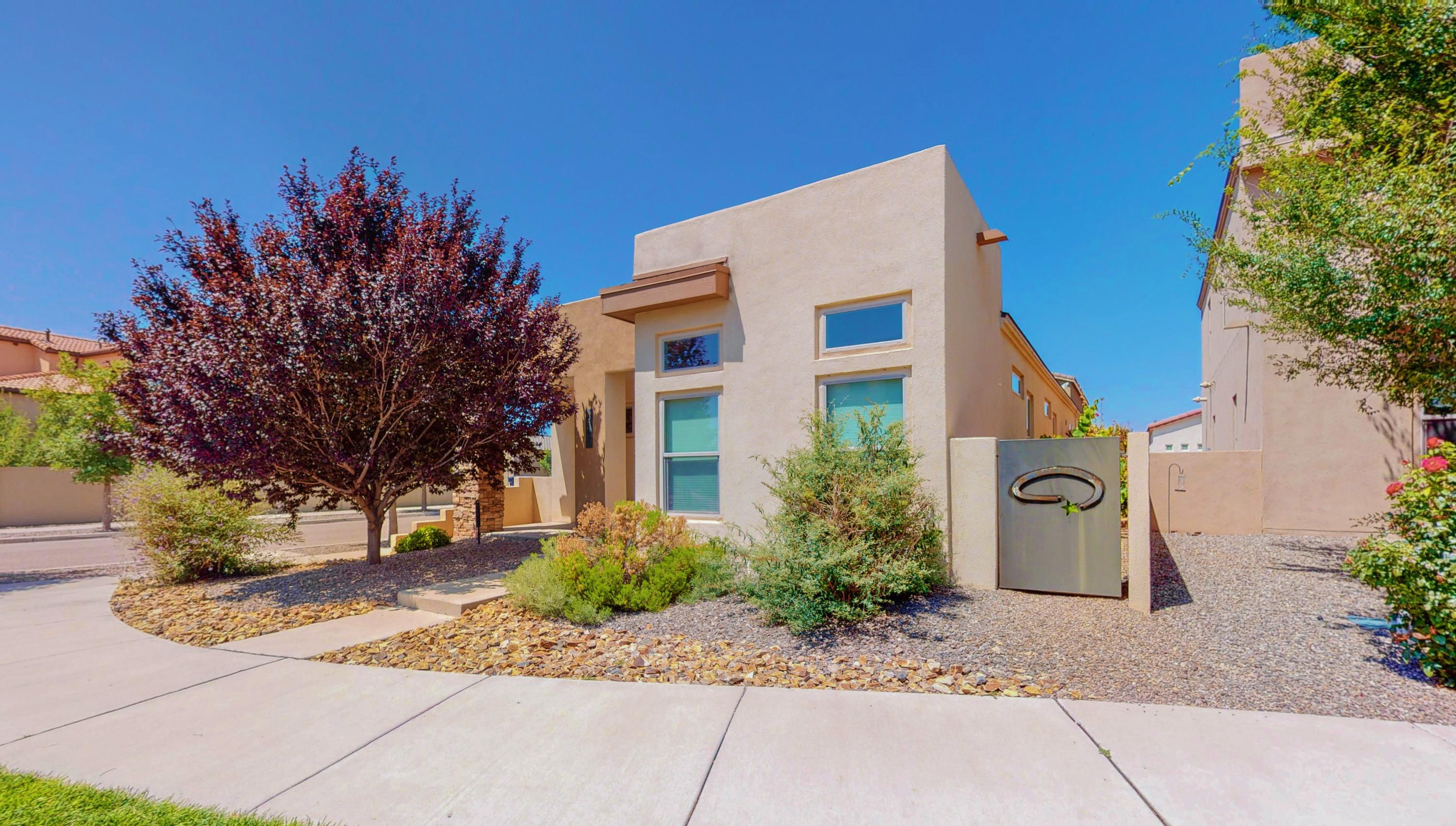 Mesa del Sol Area Homes for Sale