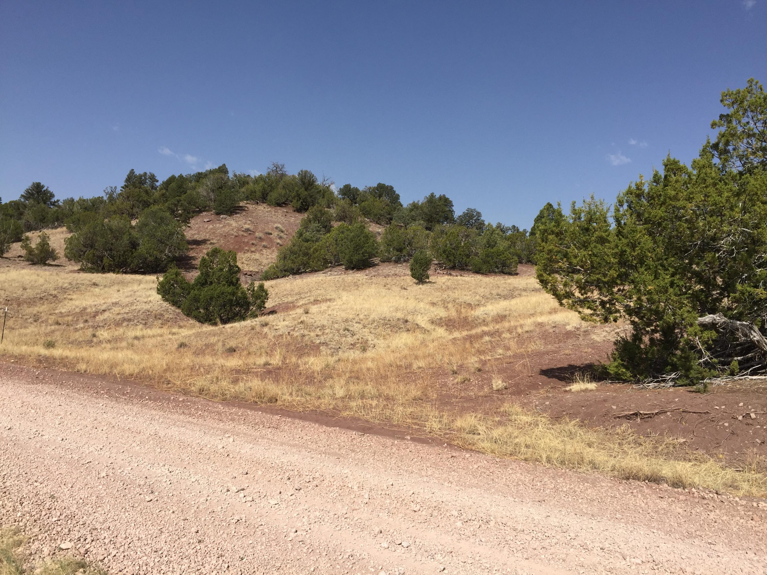 Lot 3 Sunflower Drive, Ramah, NM 87321