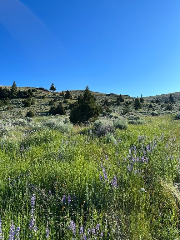 Tract 1C-2, 162.2ac Private Rd off MT Hwy 287, Virginia City, MT 59729