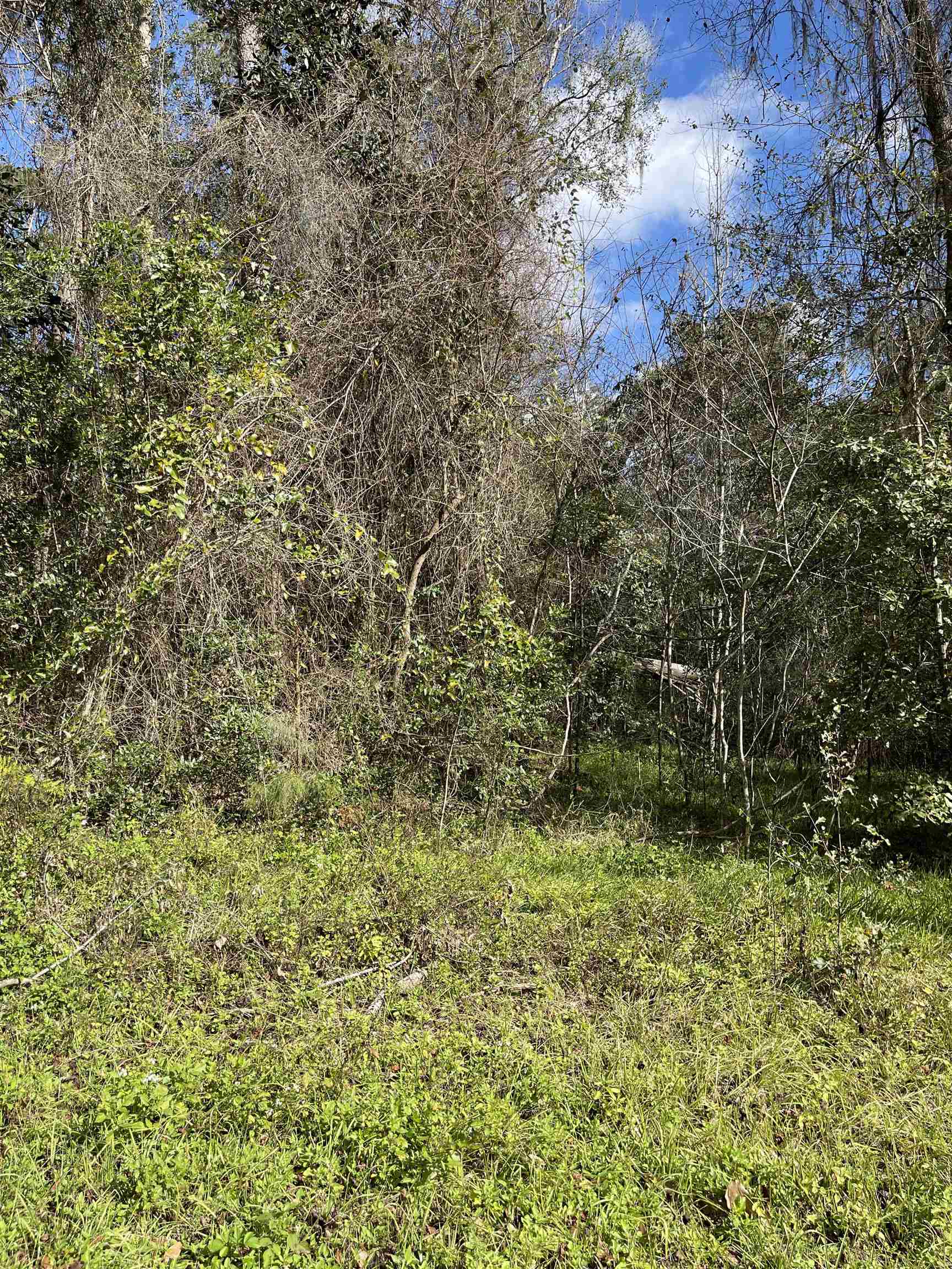 XXX Tharpe Circle, QUINCY, FL 32351