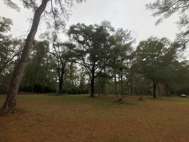 277 Quail Lane, MONTICELLO, FL 32344