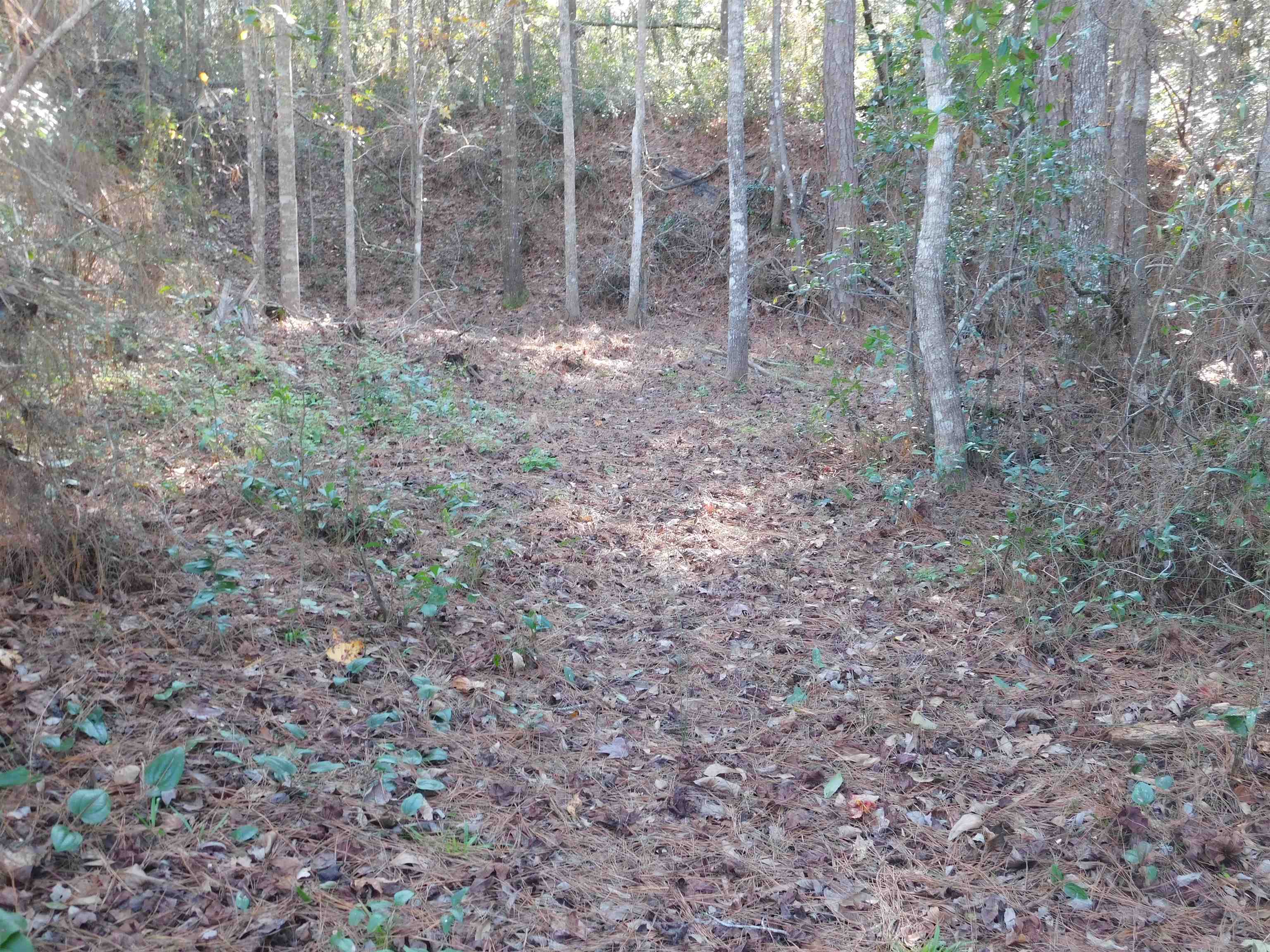 0 Collins Landing Road, TALLAHASSEE, FL 32310