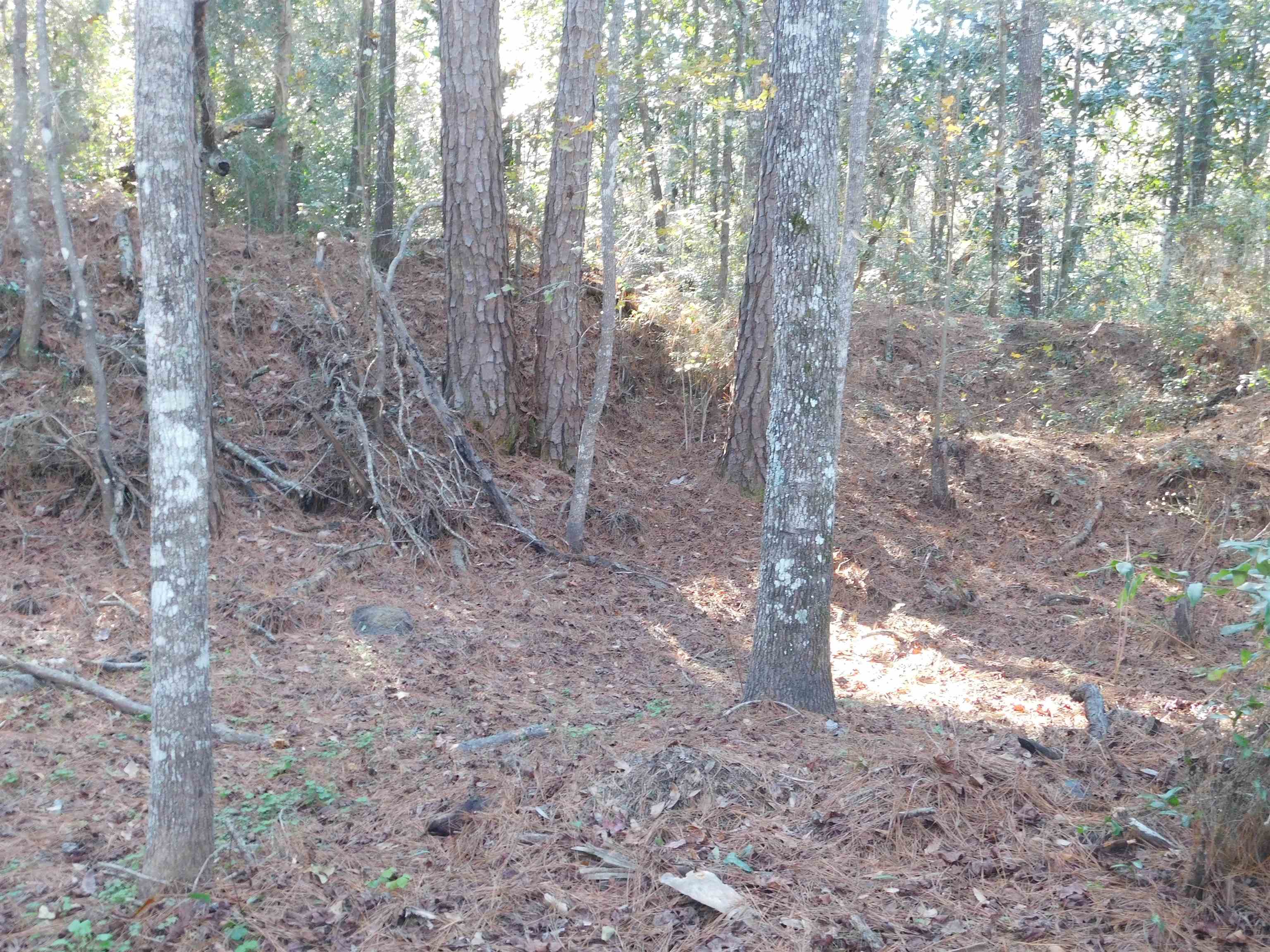 0 Collins Landing Road, TALLAHASSEE, FL 32310