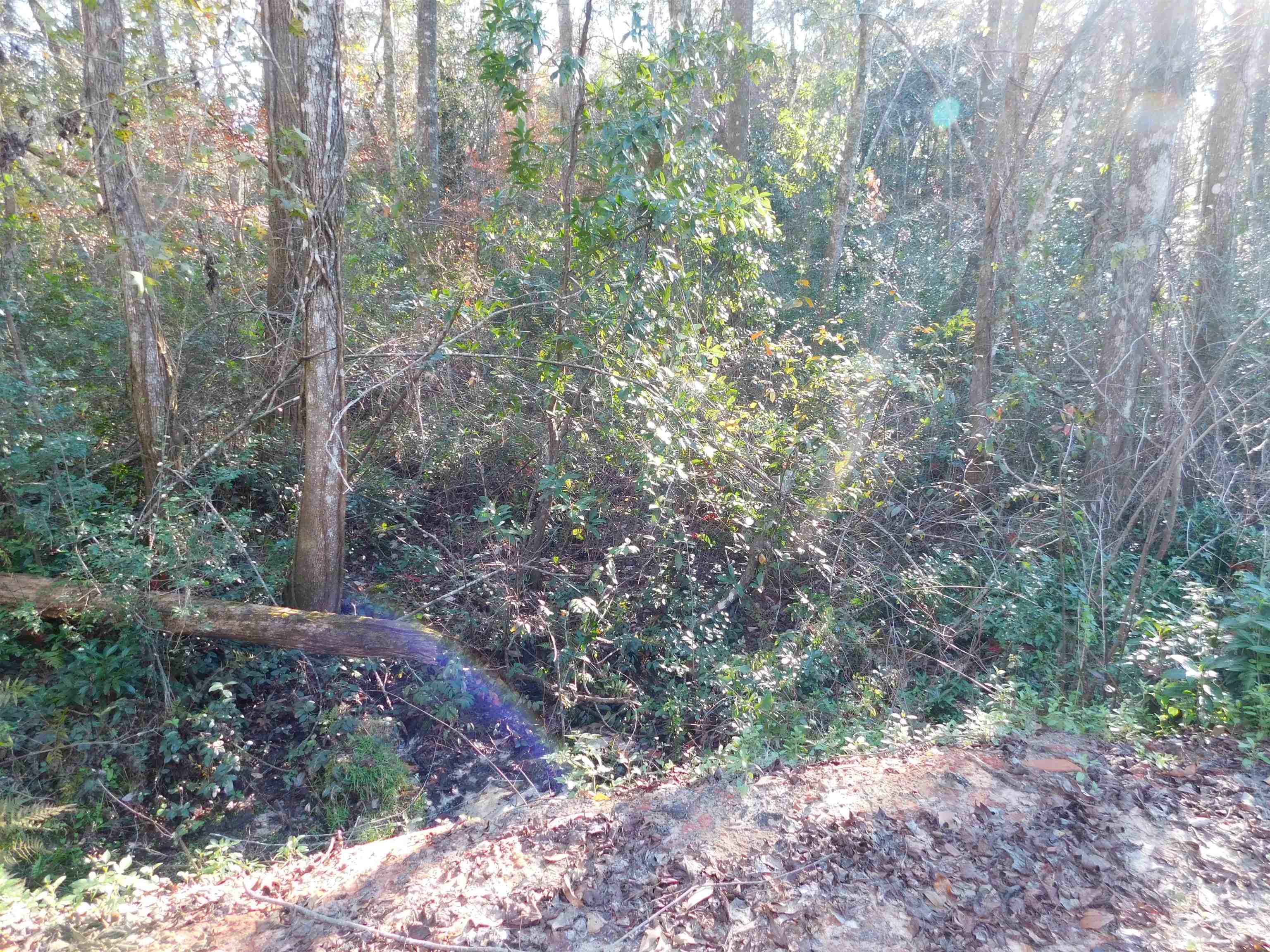 0 Collins Landing Road, TALLAHASSEE, FL 32310