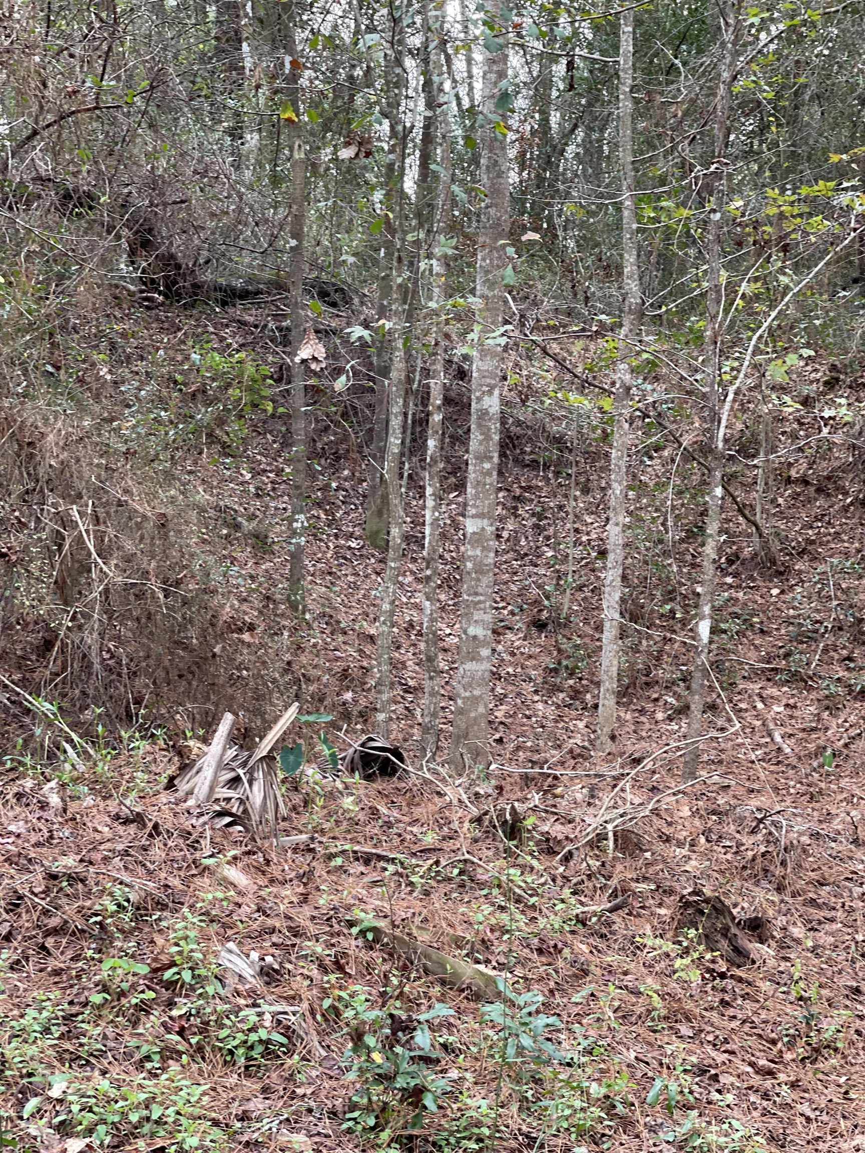 0 Collins Landing Road, TALLAHASSEE, FL 32310