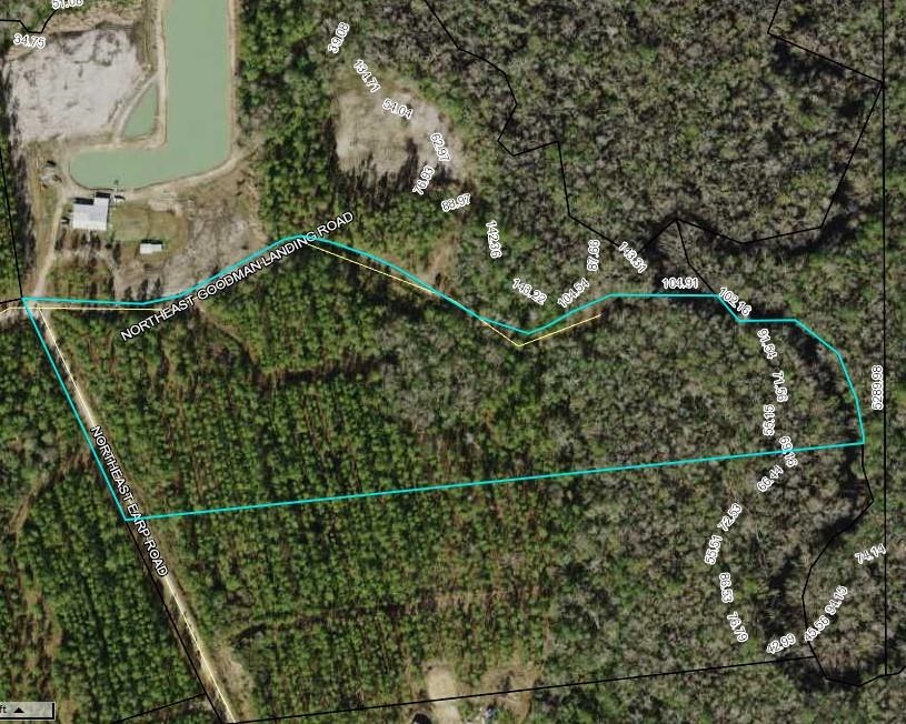 000 Goodman Landing, HOSFORD, FL 32334