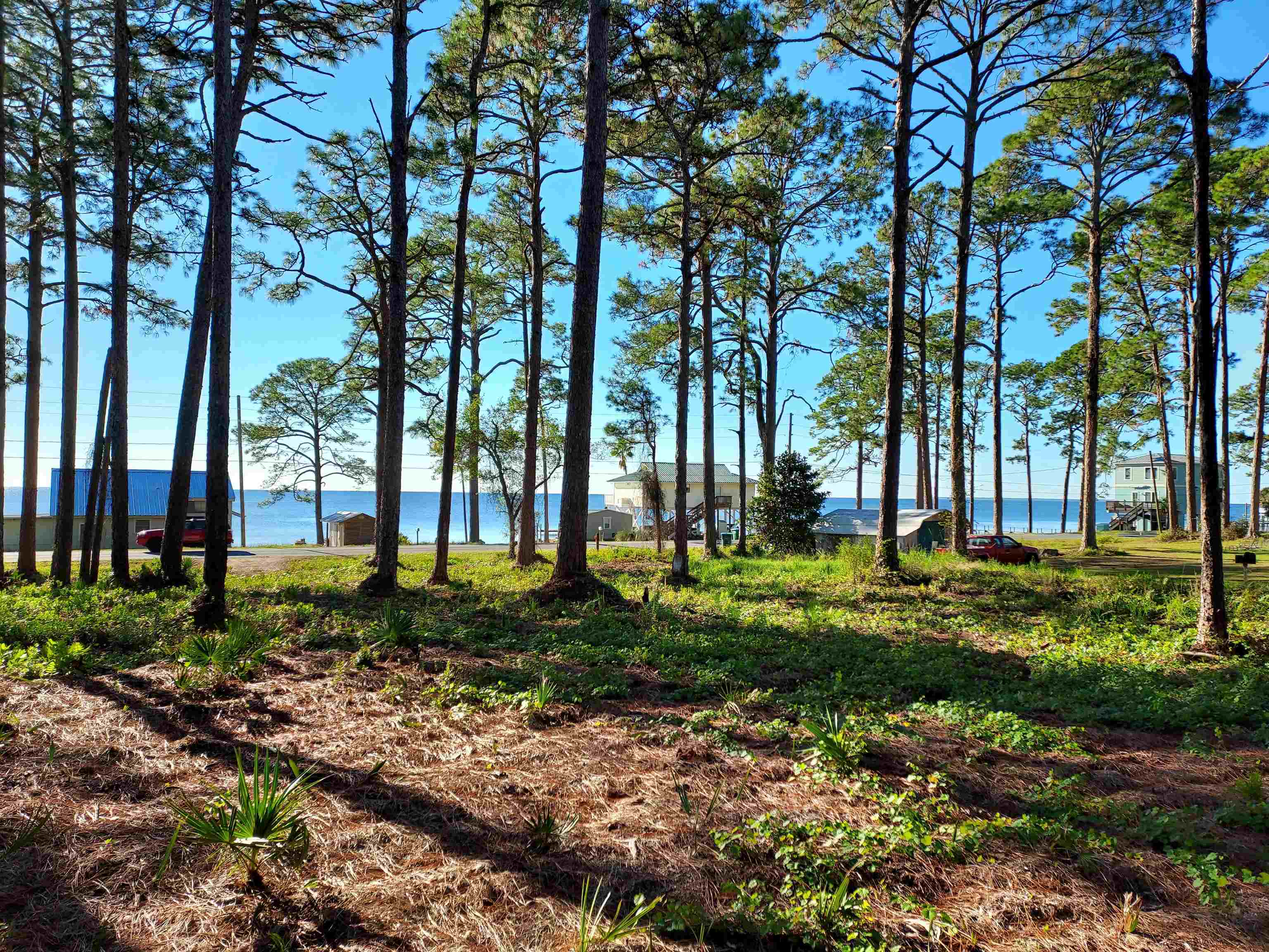 3161 E 98 Highway, CARRABELLE, FL 32323