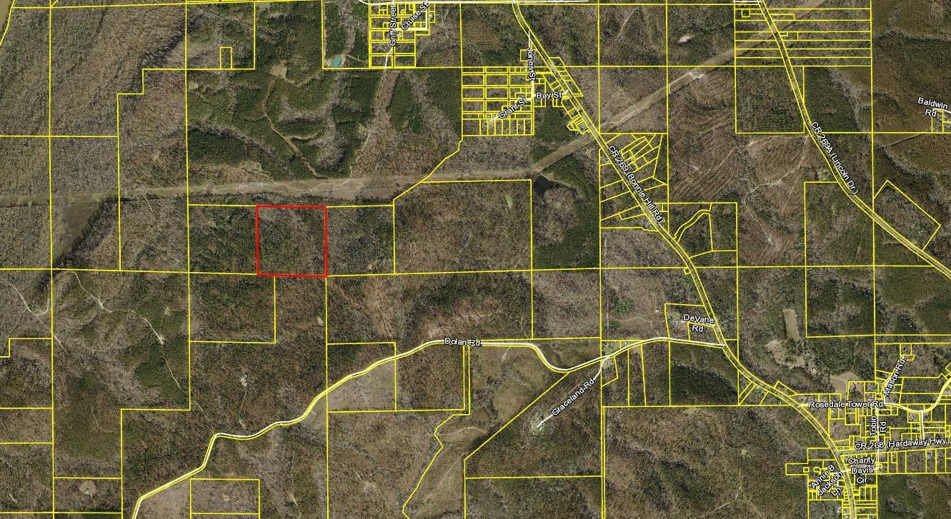 xxx River Road, CHATTAHOOCHEE, FL 32324