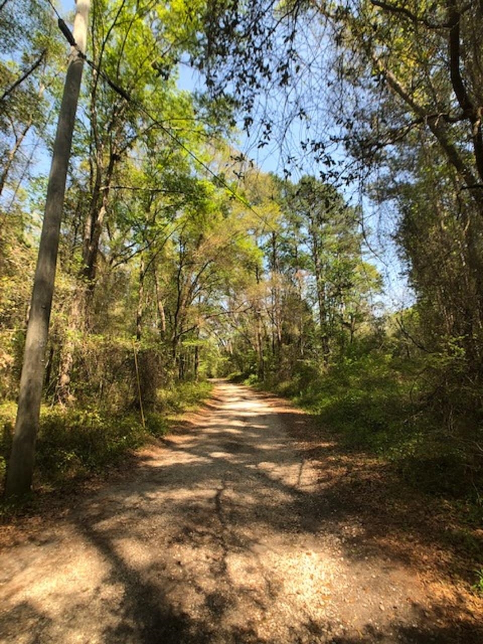 00 Daddy Hall Lane, TALLAHASSEE, FL 32309