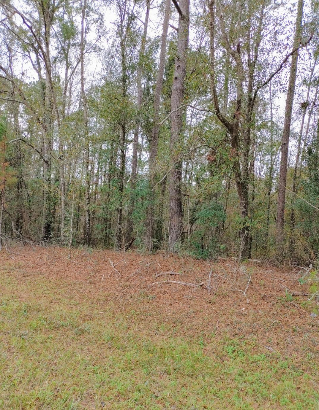 OVER 3 ACRES!! CLOSE TO I-10, PRICED TO SEEL QUICK