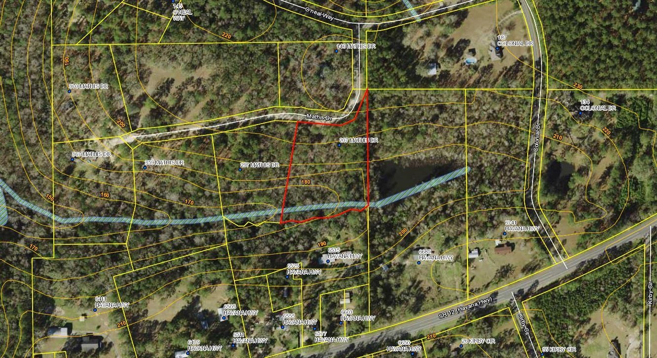 207 Mathis Drive, HAVANA, FL 32333