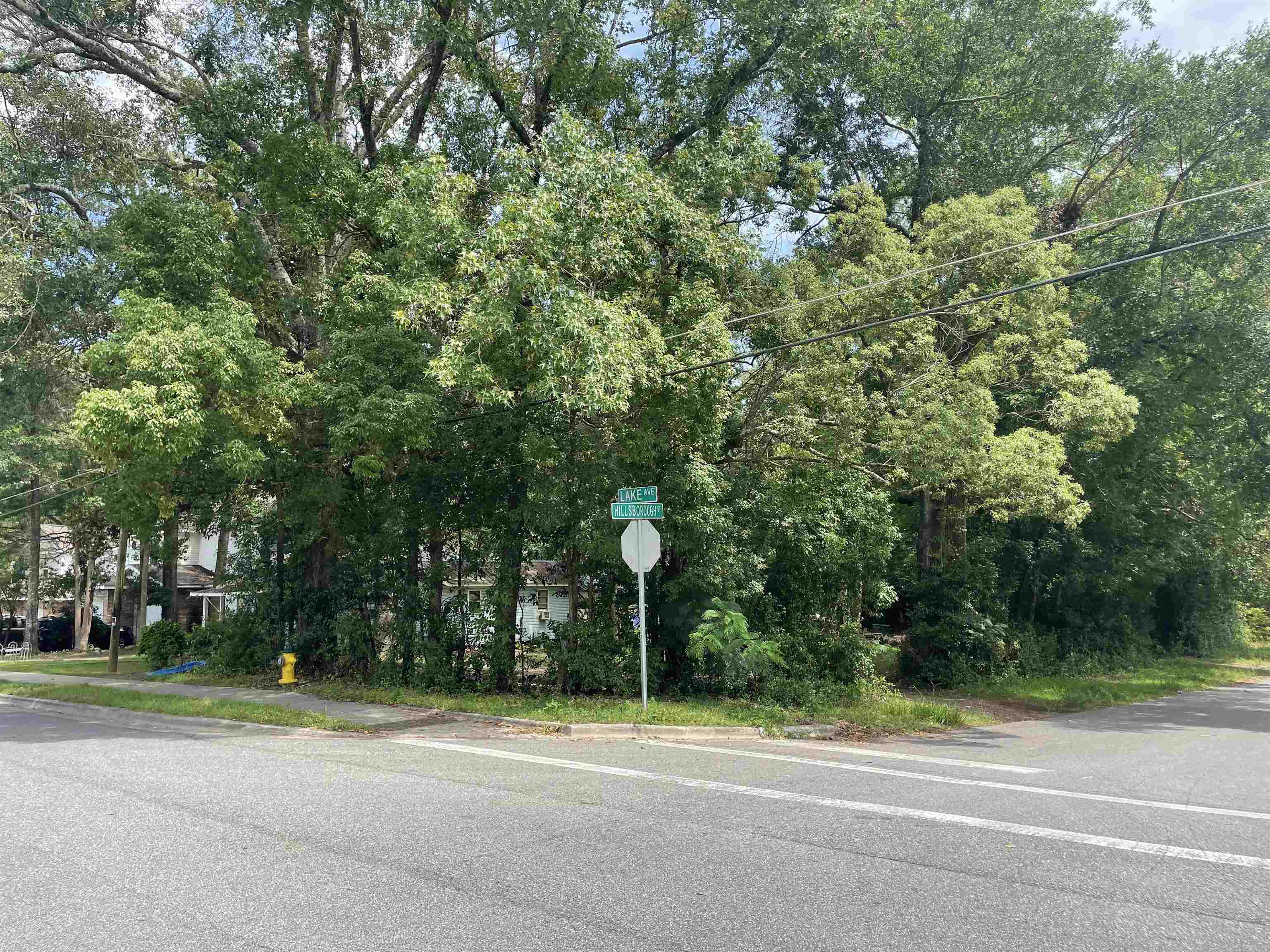 1902 Hillsborough Street, TALLAHASSEE, FL 32310