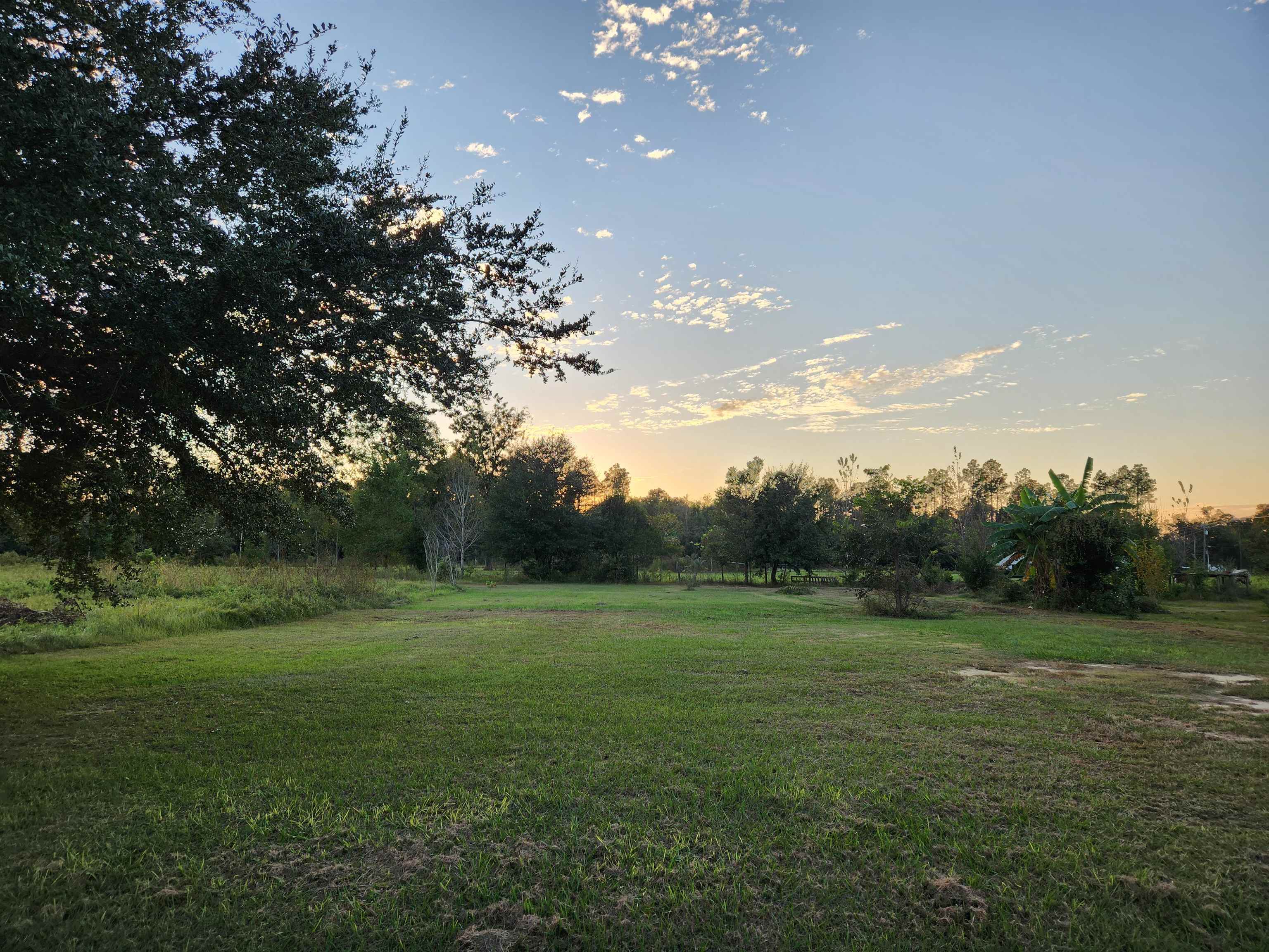 Lot 5 Twin Oaks Drive, BRISTOL, FL 32321