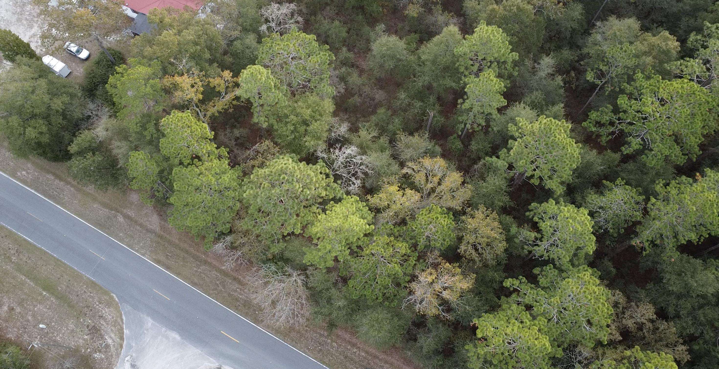 This piece of land would be great to purchase and build your dream home among the beautiful trees. 4 min to Dollar General and Family Dollar. 20 min to Winn-Dixie and main downtown area with several restaurants and gas stations. All measurements are approximate, buyer to confirm lot size and dimensions via survey.