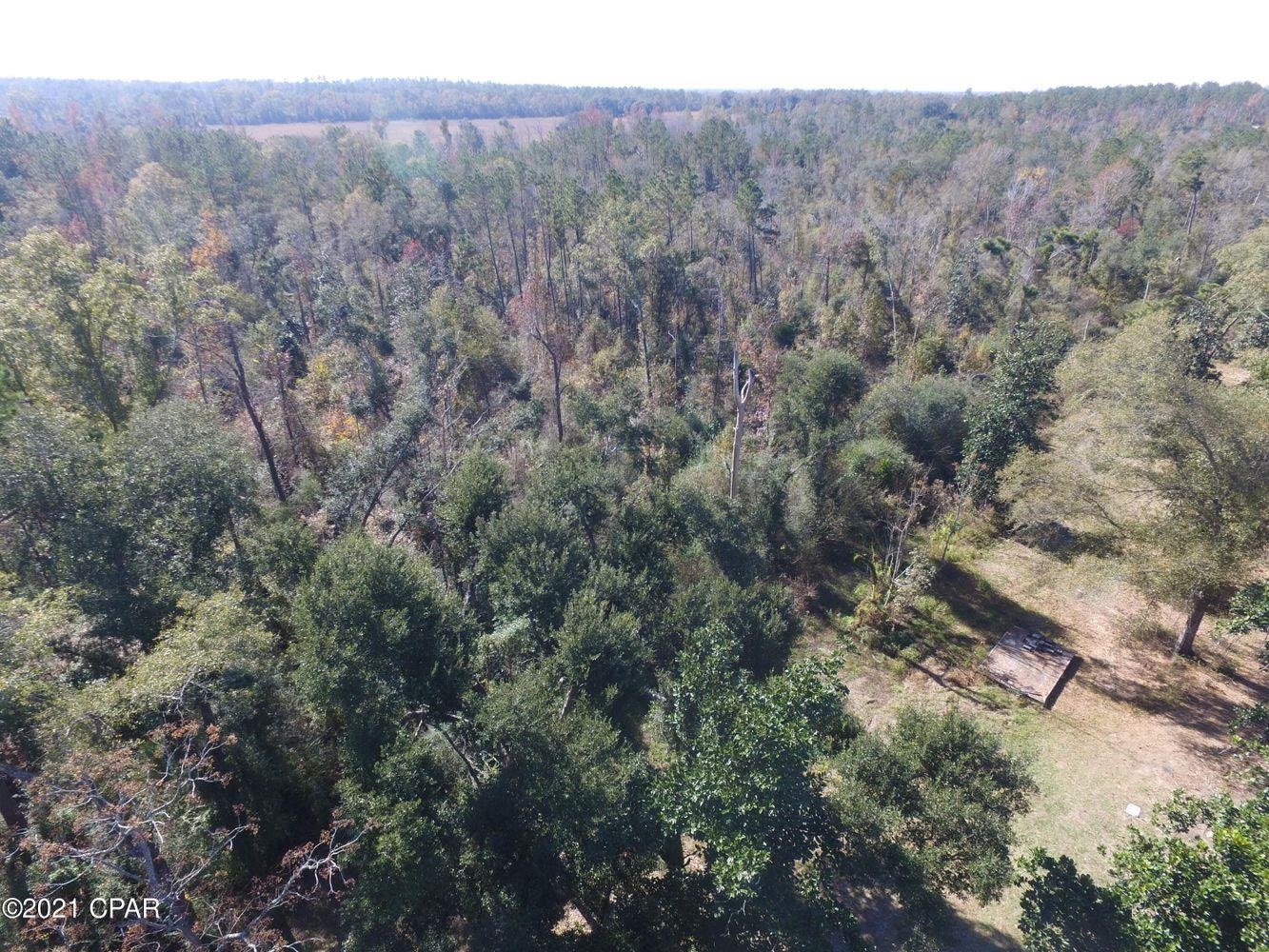 19 Beautifully timbered acres in Cottondale. This lot has no deed restrictions and was once a homesite. Property has a well and power already on the property. There is an older septic tank on the property that owner knows nothing about and does not warranty septic system. Buy to build, hunt or hold.