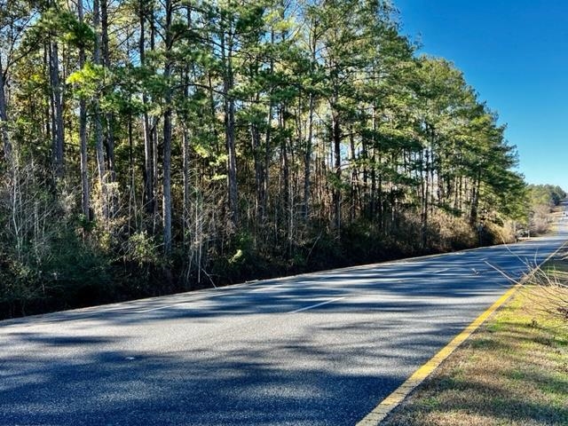 Prime property located on East Jefferson St./Blue Star Hwy, just below Gadsden County Hospital.   This prime location is perfect for new developments in Gadsden County.