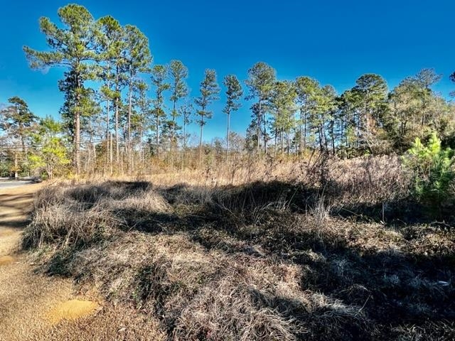 Prime property located on Blue Star Hwy/East Jefferson (Hwy 90 East), just below Gadsden County Hospital. Perfect for new development in Gadsden County.  Approximately 6 miles from I-10 Upgrades include utilities and sewer.