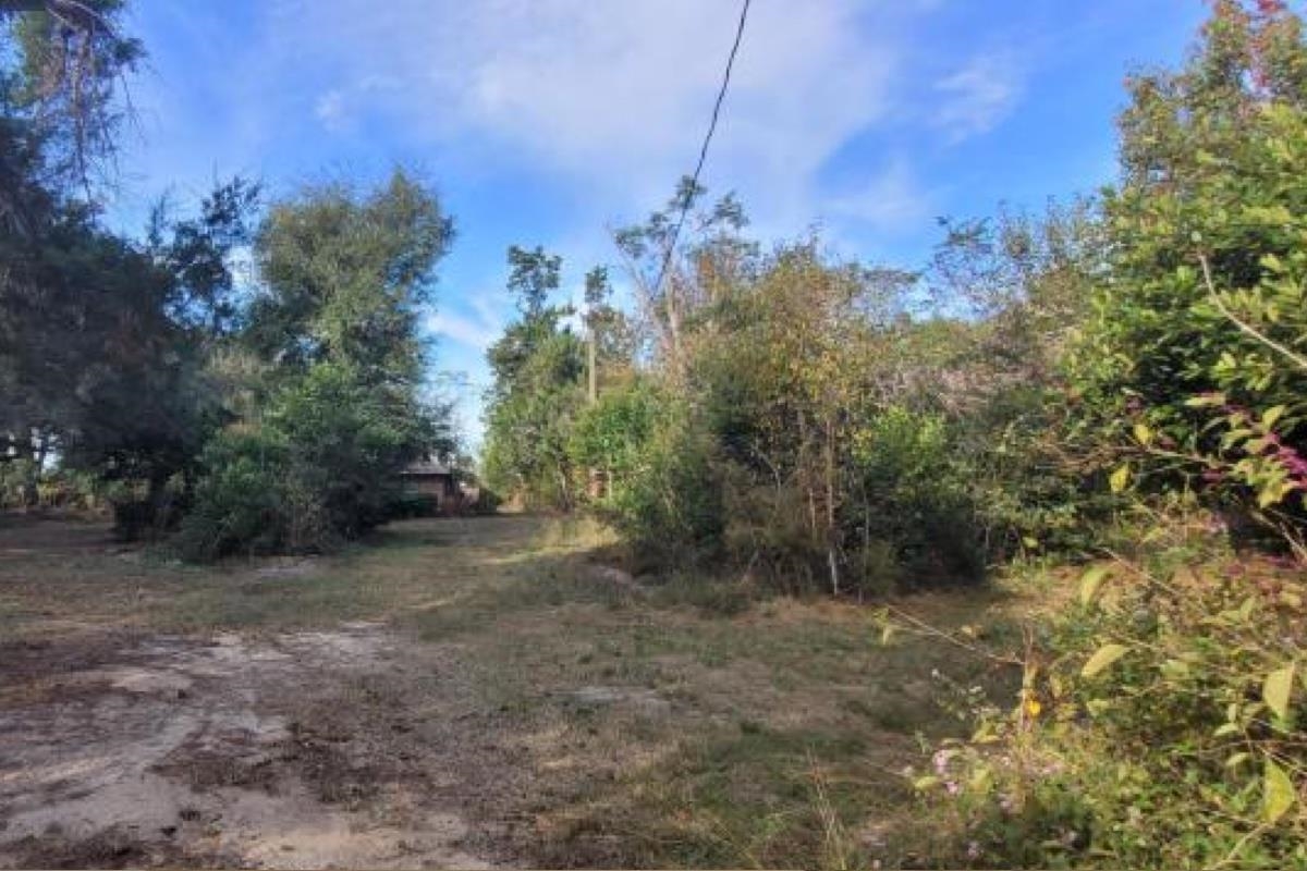 2815 HWY 69, Grand Ridge, FL 32442