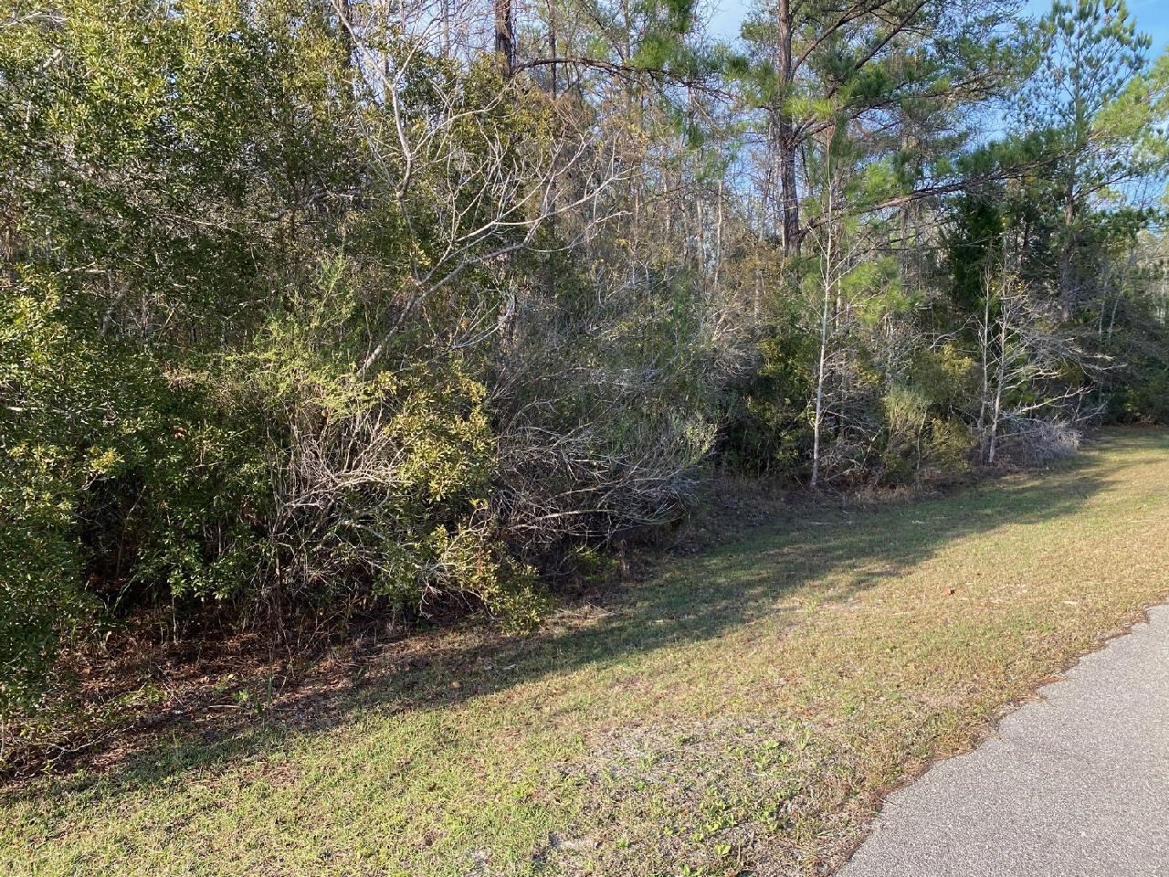 Lot 57 Water Oak Way, ST MARKS, FL 32355