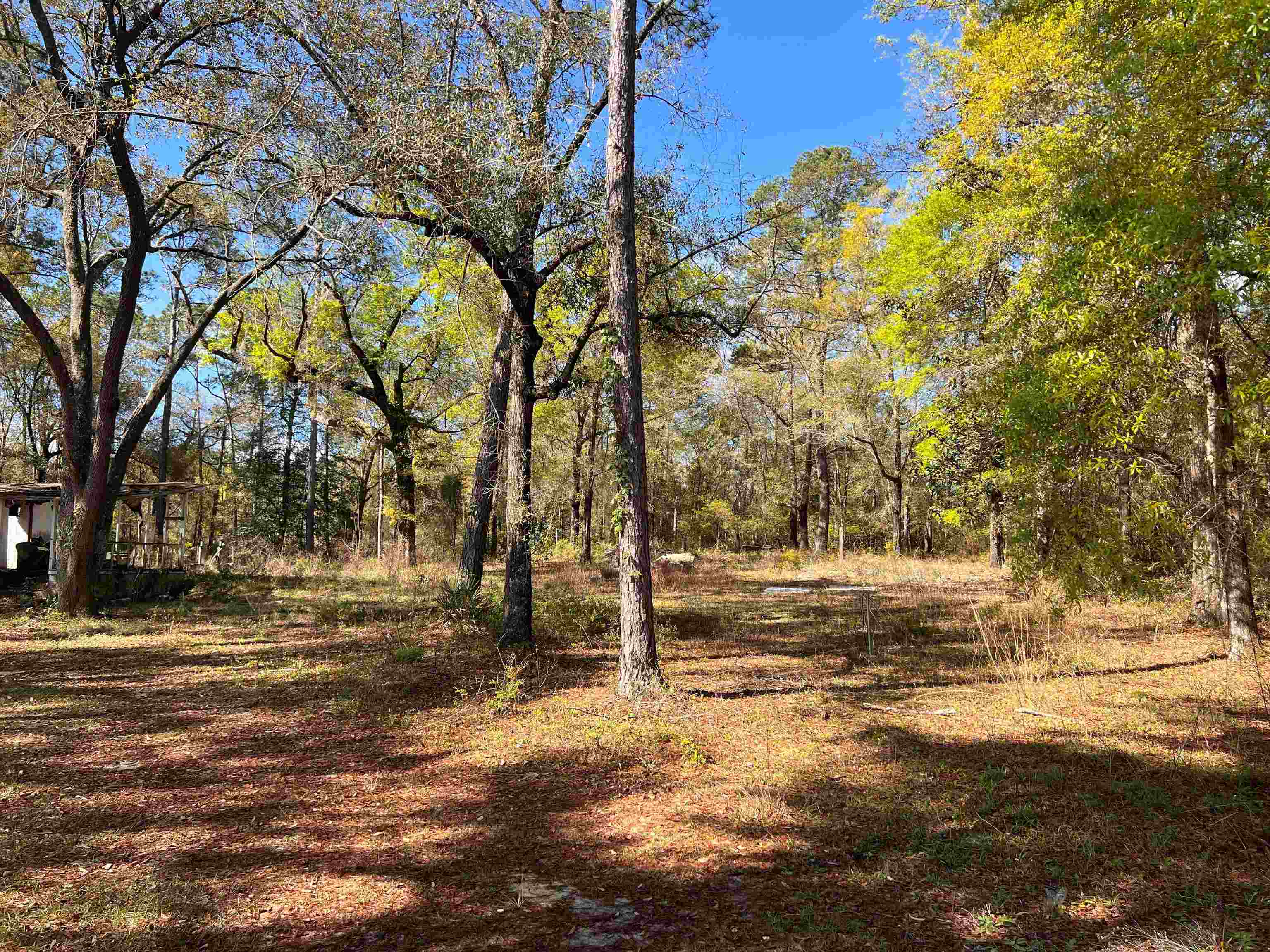 Prime Liberty County property!!!!! This 30 acres trac offers an abundance of wildlife. Property has a septic tank, but it will need updating, also has well but hasn't worked in a year or two. Property has over 2000 ft that abutts to the Apalachicola National Forest. The property is zoned for residential with land use of multi-fami and This property is conveniently located in between Tallahassee and Panama City. This property is the perfect location for the active outdoorsman or nature enthusiast.  Land has old growth hardwood and Pine, and some swamp areas–just the type of place you envision those trophy Whitetails hiding out.
