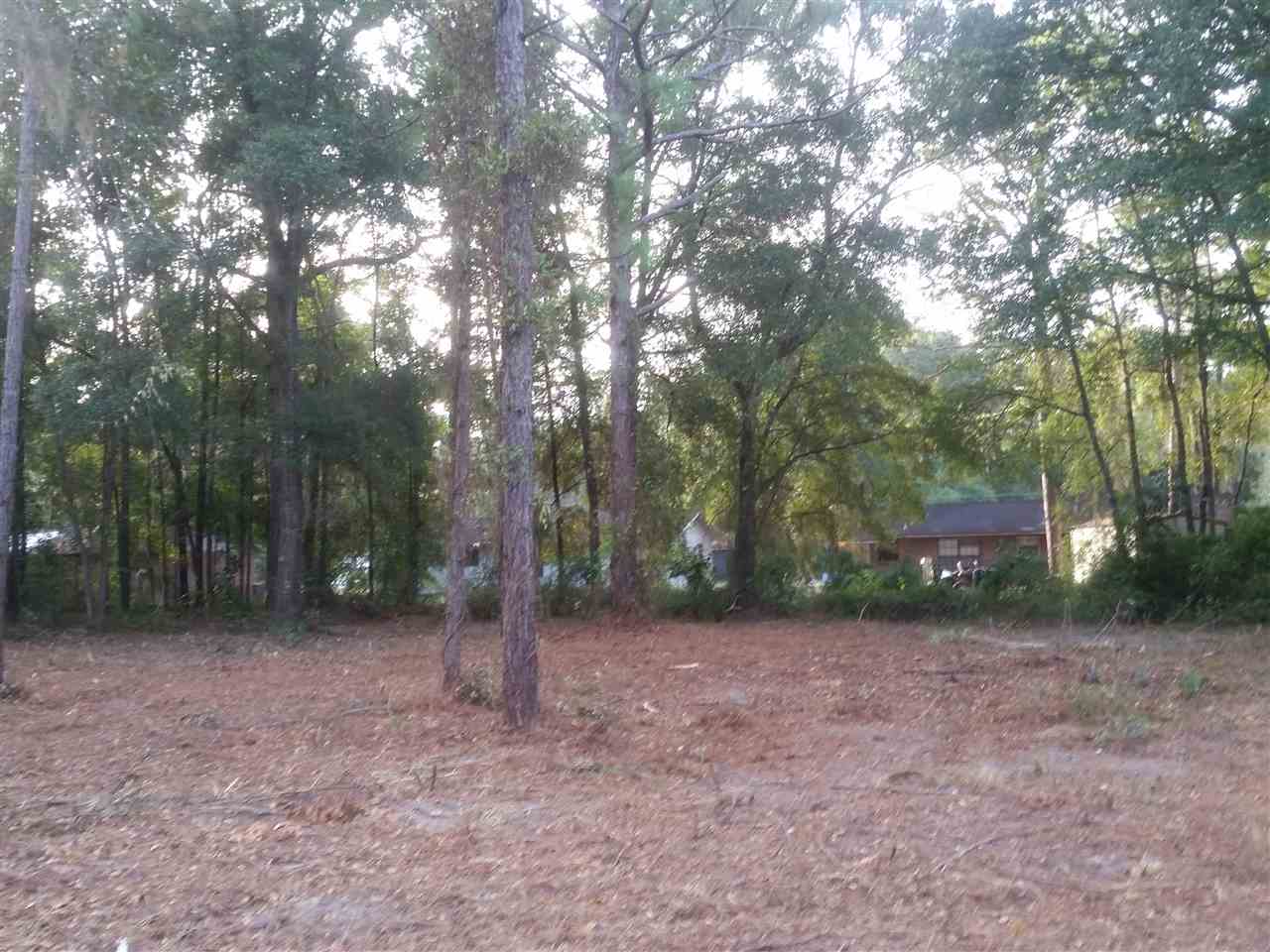 Lot 29E Kathleen Street 0, PERRY, FL 