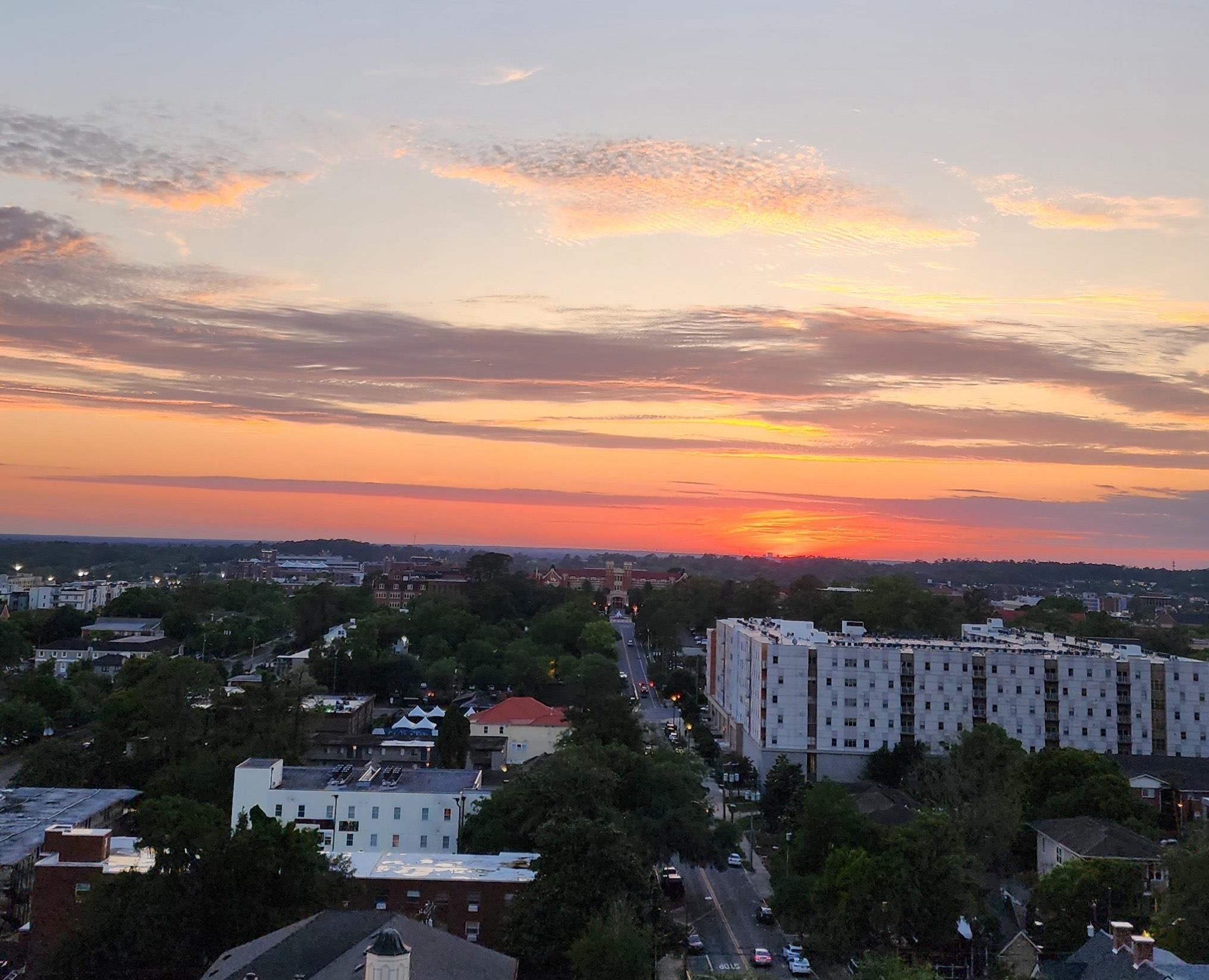 215 W College Avenue 801, TALLAHASSEE, FL 32301