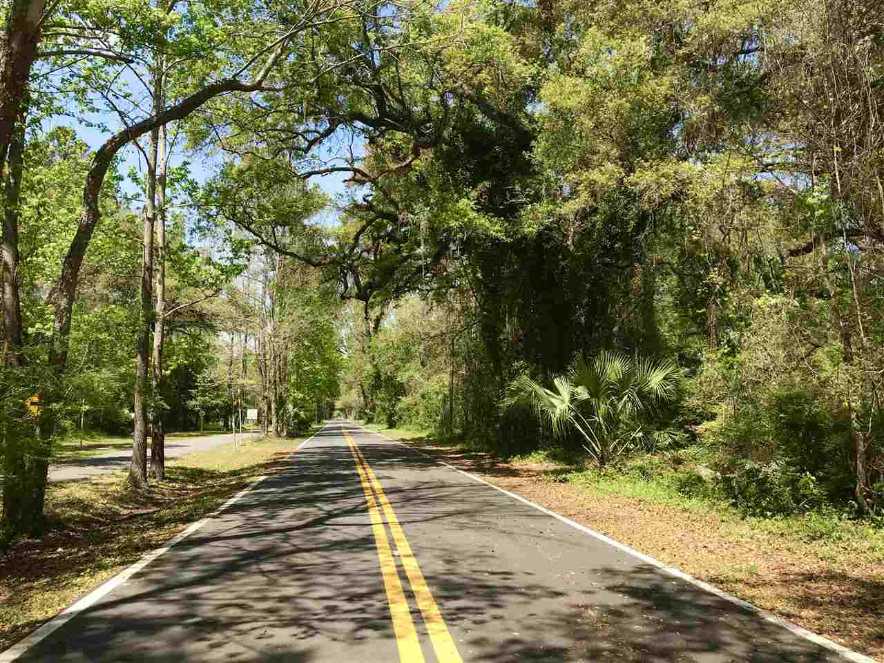 XX Bloxham Cutoff Road, CRAWFORDVILLE, FL 32327