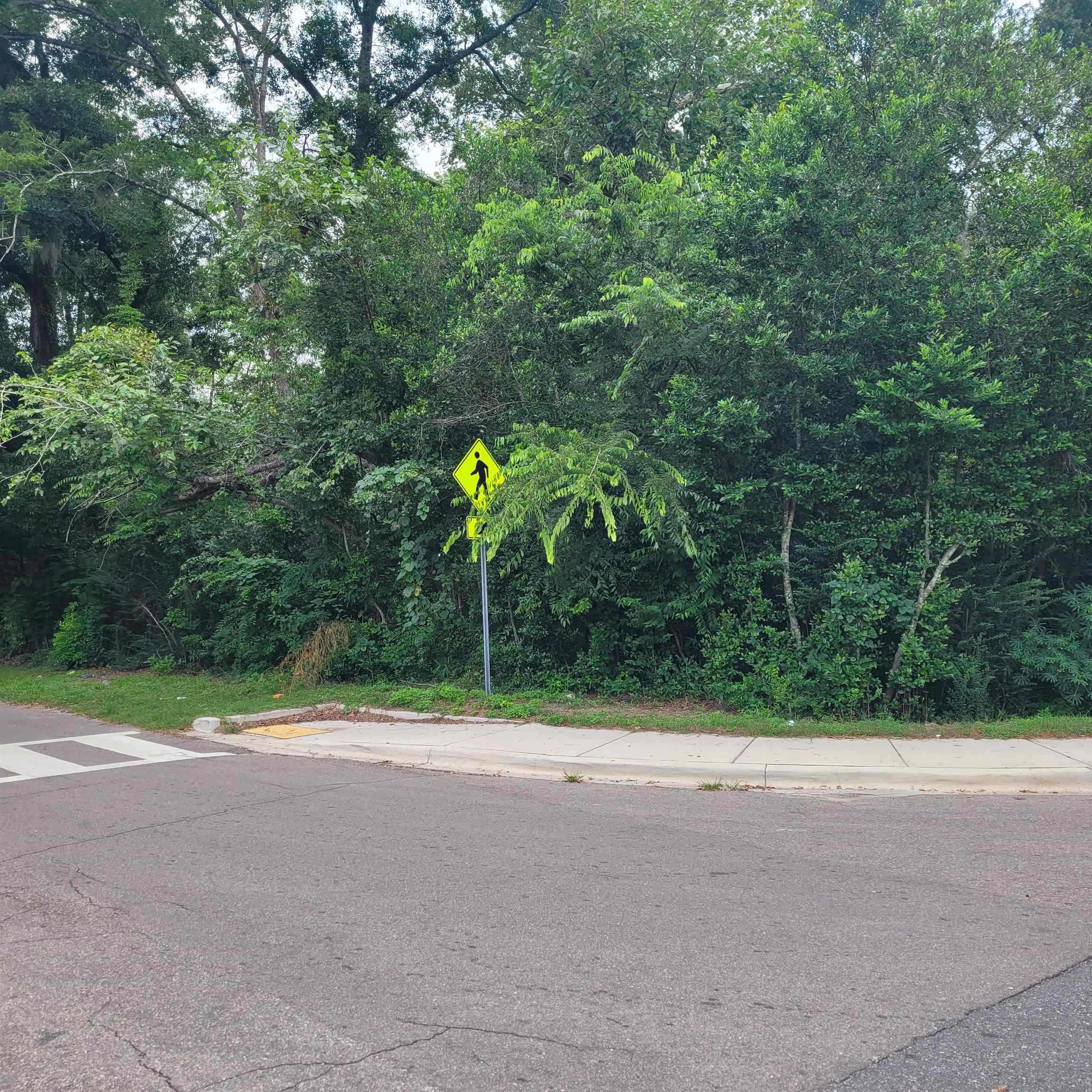 This is a thickly wooded lot. Current Zoning is Central Urban 26 (CU-26). There is the potential to build a four (4) bay store front with apartments above and off street parking in the back. Buyer would need to verify flood zoning  CU-26 with City of Tallahassee.
