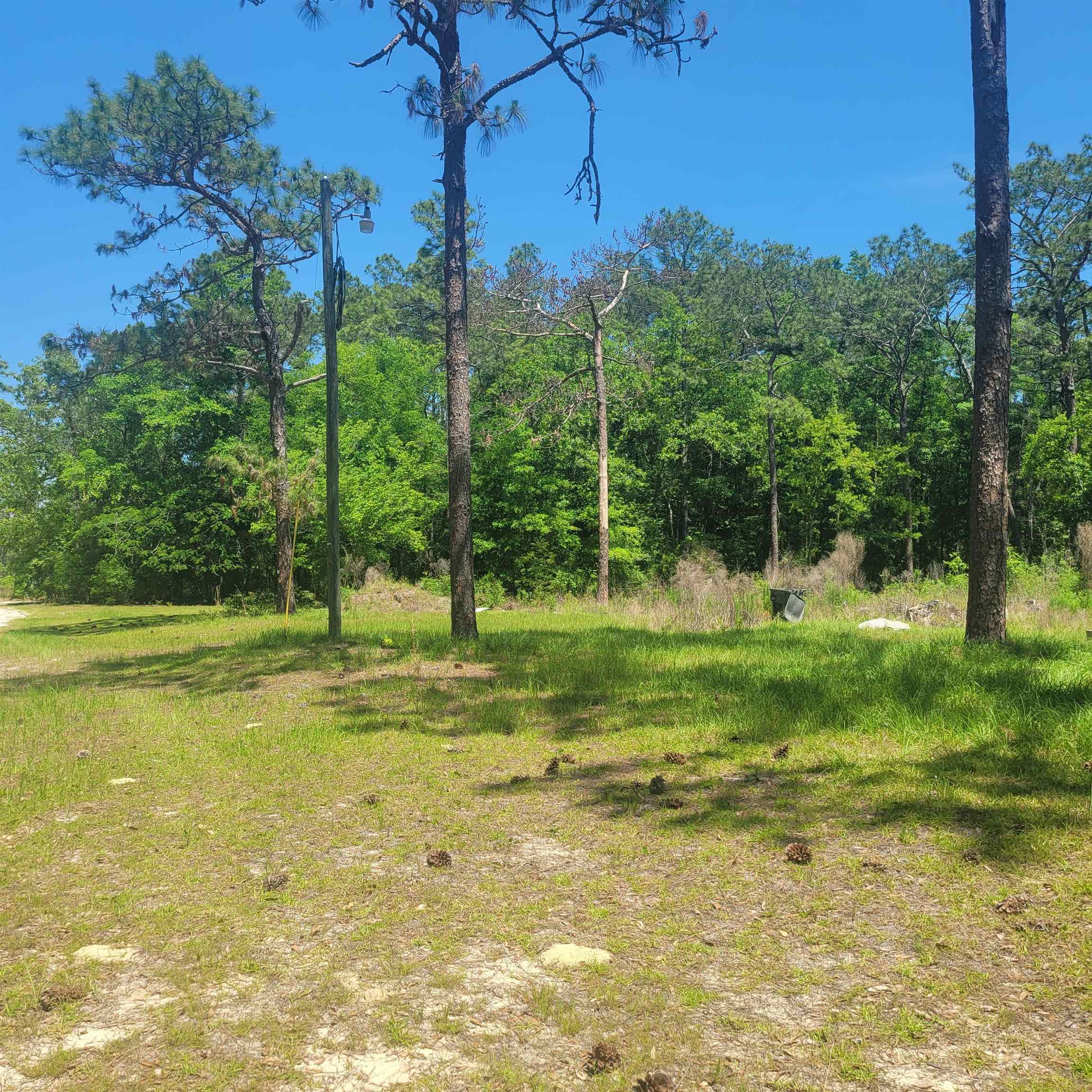 Beautiful 1 acre home site, ready for your new home or just buy and hold. New Well, electric and septic system.  This parcel is part of a quiet, well-established neighborhood.  This lot is at the end of the neighborhood directly adjacent to the Apalachicola National Forest so you will never have new neighbors, developments or a blocked view. Located directly behind J. Lewis Hall Sr. Woodville Park & Recreation Complex this is a hidden gem off of the main highways. No time limits to build and mobile homes are allowed.