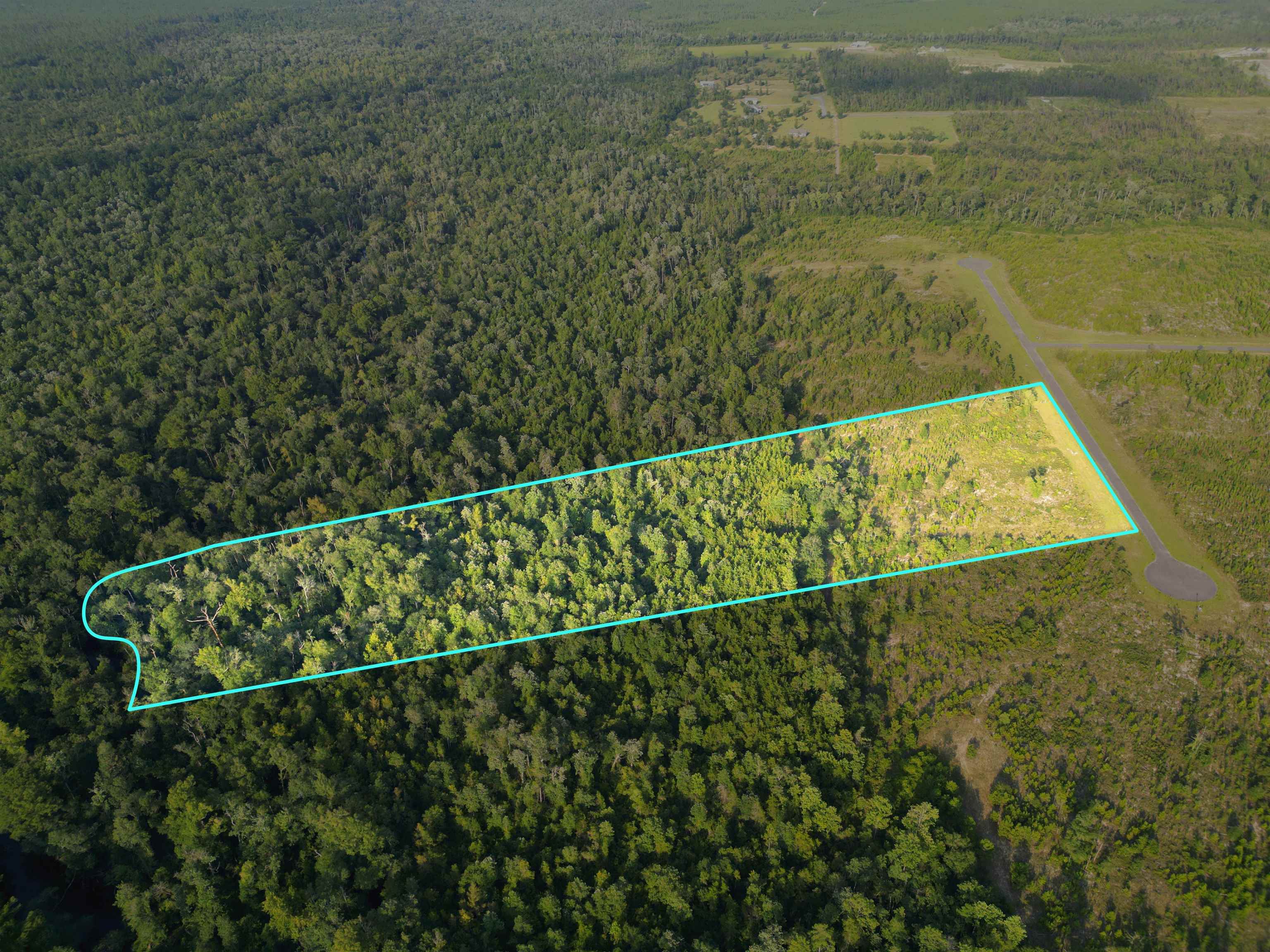 11.34 acres located in Bristol, Florida on Telogia Creek.  Build your dream home in this beautiful area of Liberty County! Gated community!