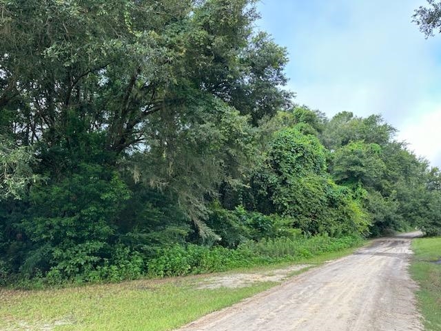 Beautiful 3.09 Acre Wooded Vacant Residential Lot. The property is adjacent to the old Grave's Drive-In Property on N US 221 in Perry, FL. The Adjacent 4.29 acres are also for sale.