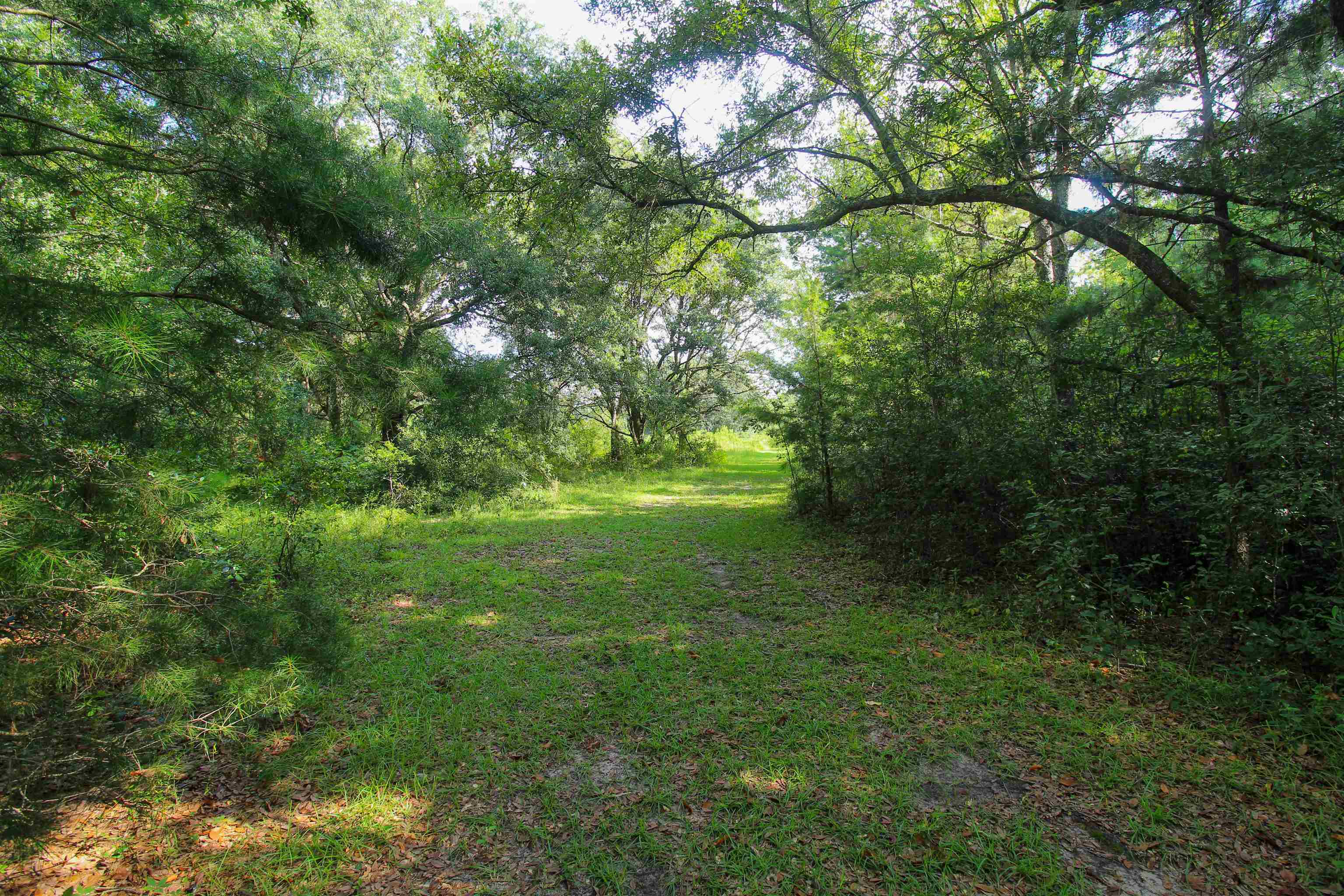 Beautiful 56 acre parcel convenient to Tallahassee and Quincy. Mostly hardwood with some open areas. Perfect location to build your dream home or for a recreational property. Abundant wildlife, perfect for hunting, trails for horseback riding or hiking.