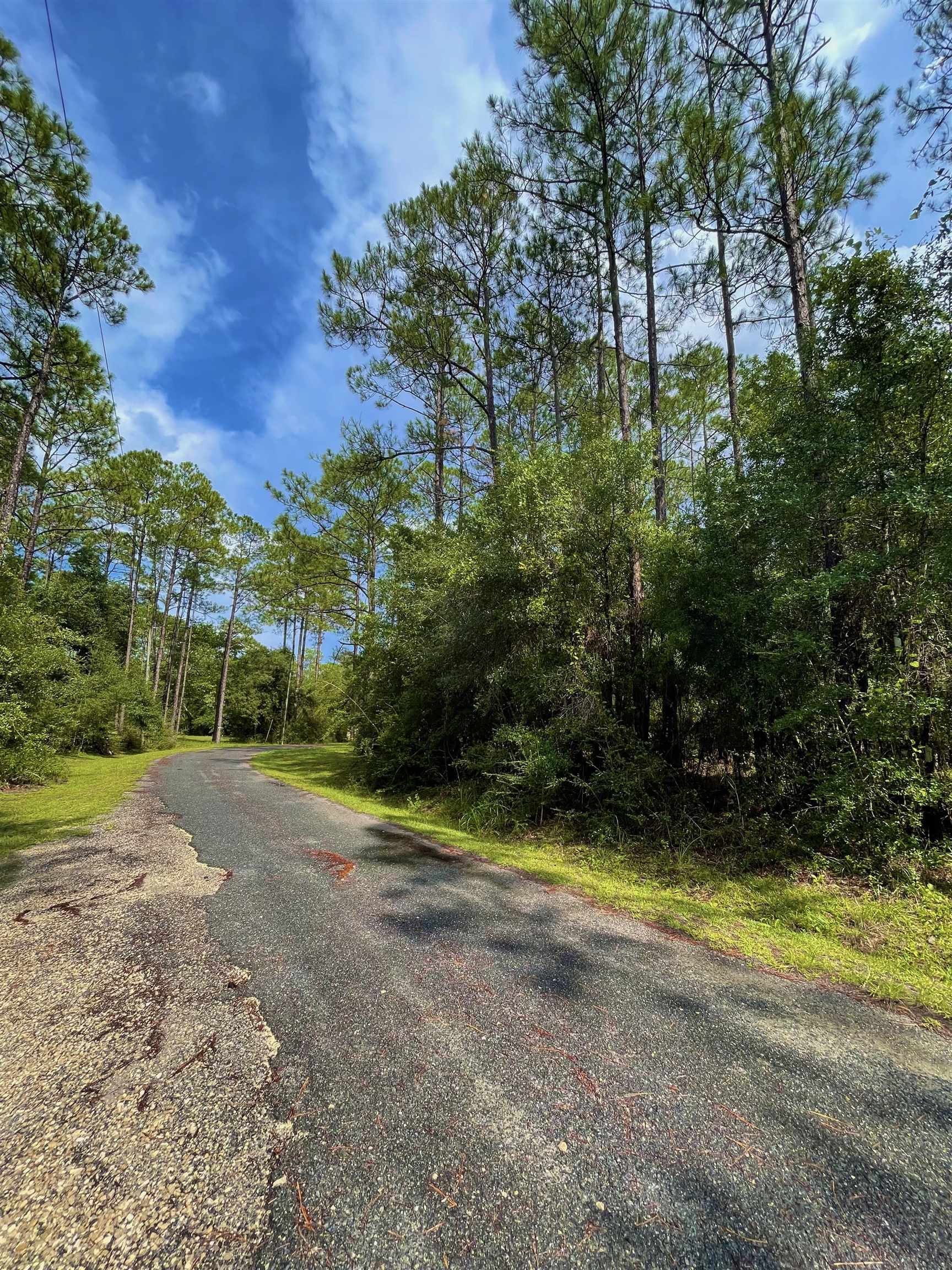 LOTS 3&4 Buckhorn Creek Road, SOPCHOPPY, FL 