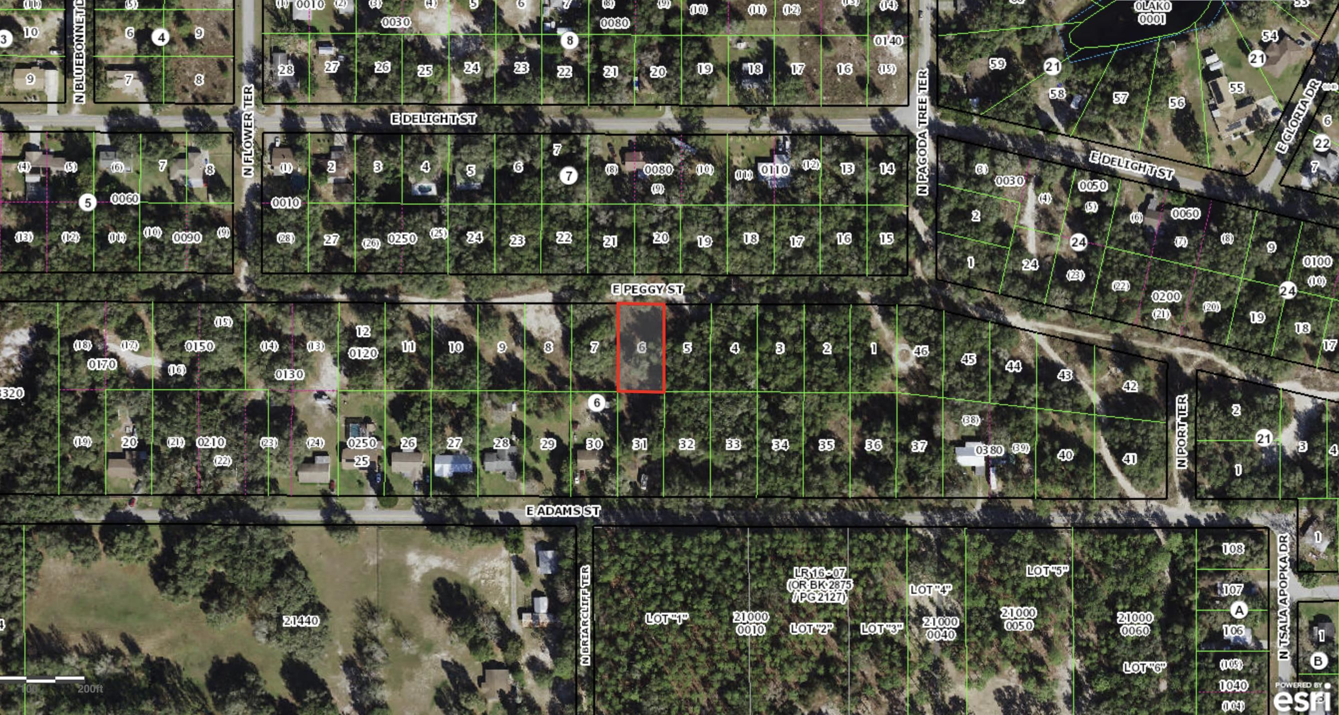 Come clear and build on this vacant lot! Approximately 3 minutes to Dollar General. Approximately 19 minutes to Walmart. Approximately 16 minutes to Winn-Dixie & Walgreens. Approximately 10 minutes to The Preserve Golf Club. Down the street from water access to Hernando chain of lakes.  All measurements are approximate, the buyer is to confirm lot size and dimensions via survey.