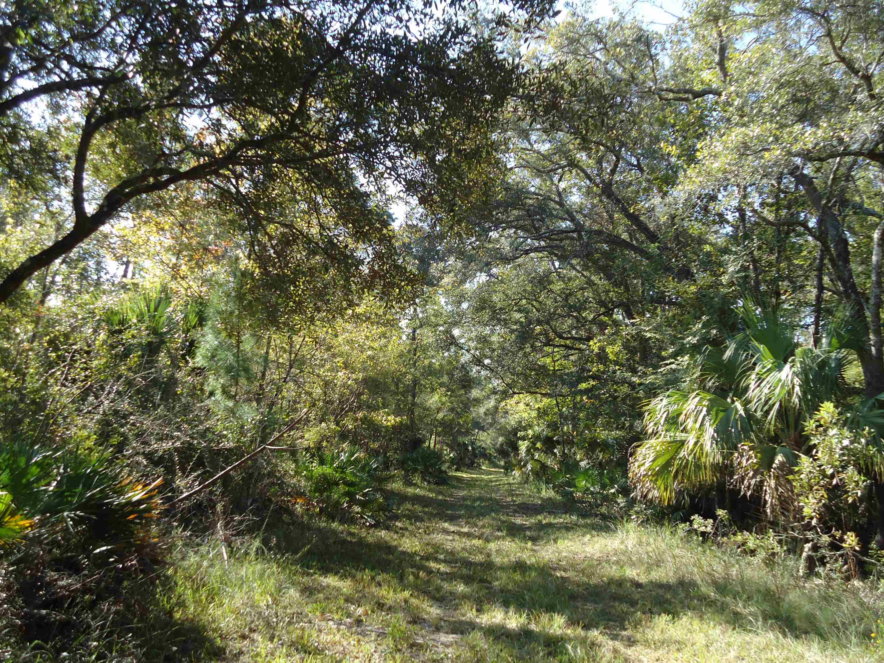 00 Econfina River Rd (CR 14), LAMONT, FL 