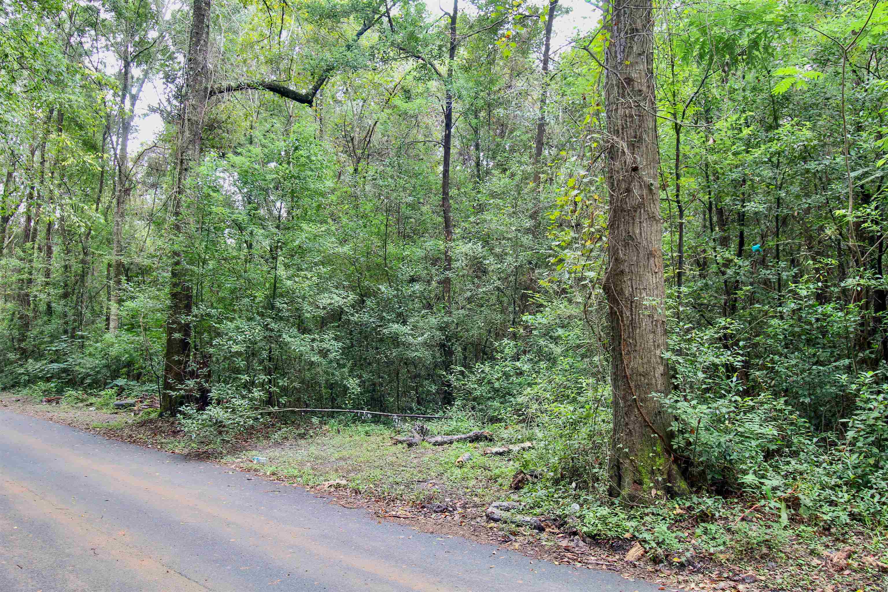 Introducing a great investment opportunity!! This property spans an impressive 5.23 acres, offering endless possibilities for commercial or residential development. Two parcel id's included in sale - 3-12-2N-4W-0000-00314-0800 and 3-12-2N-4W-0000-00314-1200