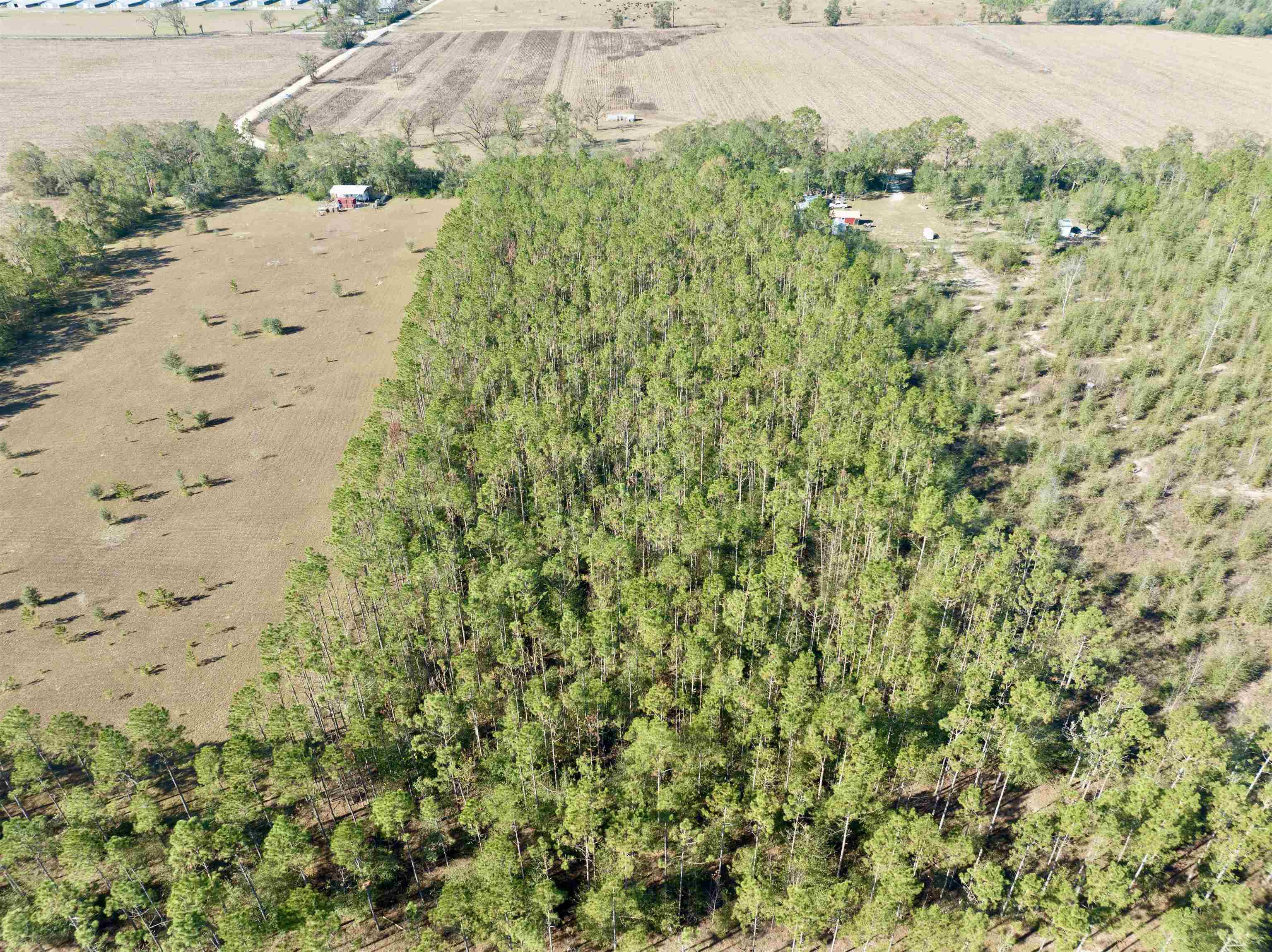 Vacant NE Juniper Drive, LEE, FL 