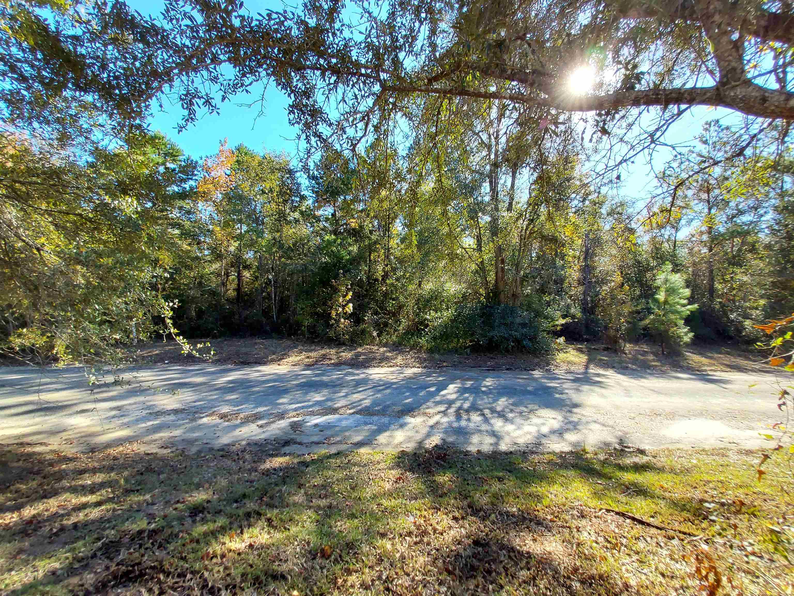 x Pine Cone Drive, MONTICELLO, FL 32344