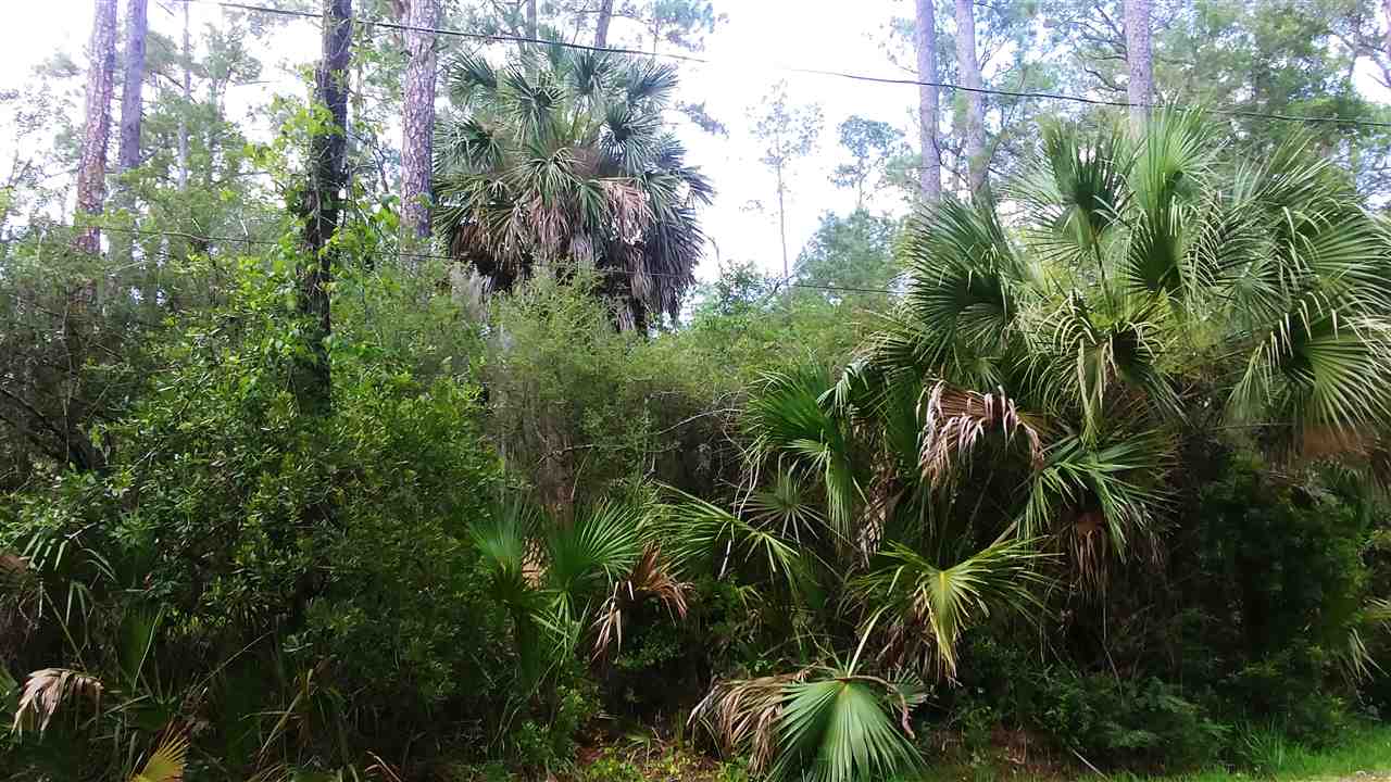 Forbes Street n/a, ST MARKS, FL 32355