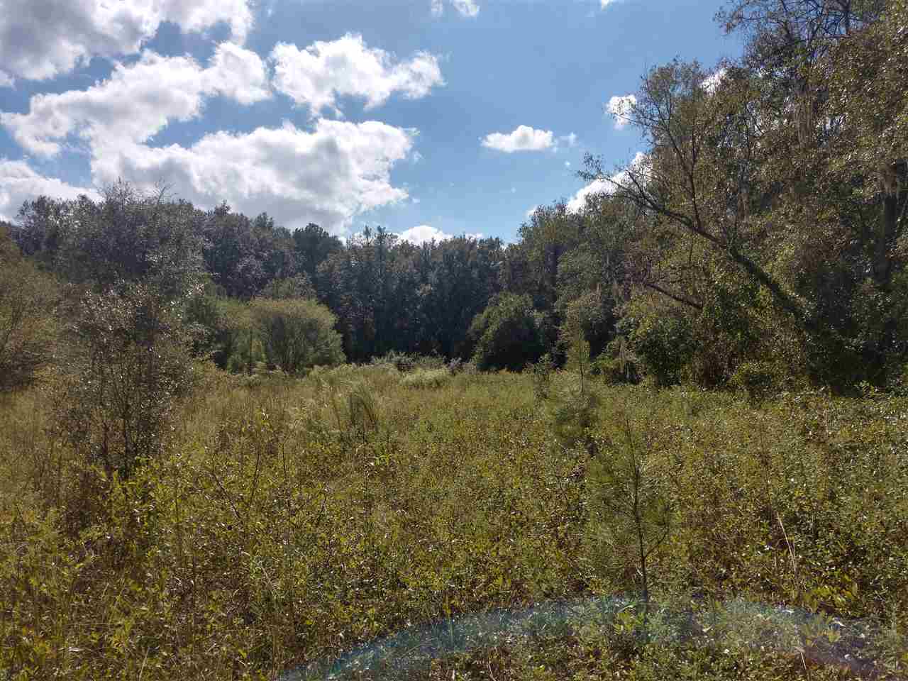 0 SW 79th Drive, JASPER, FL 32052