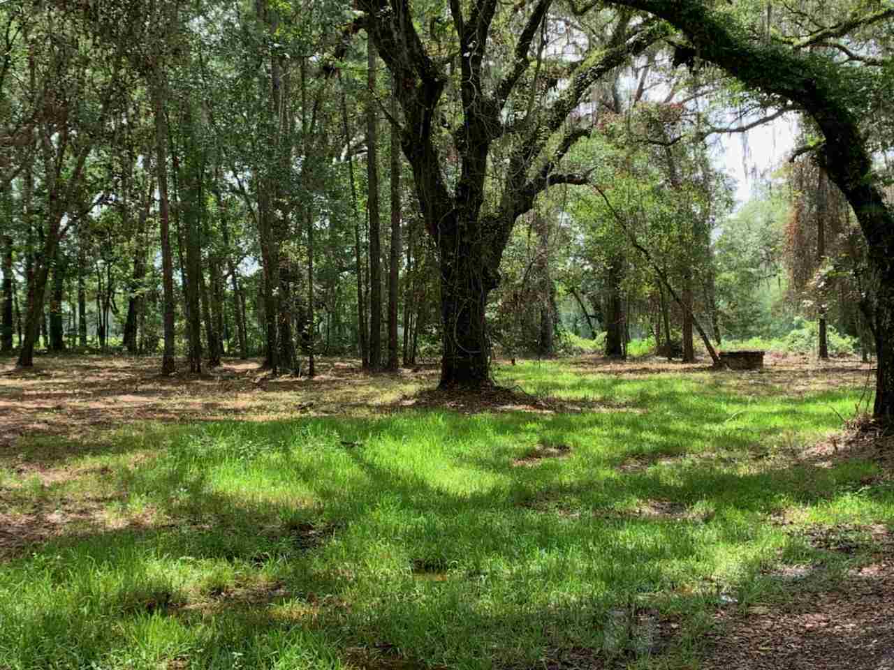 N Salt Road, MONTICELLO, FL 32344