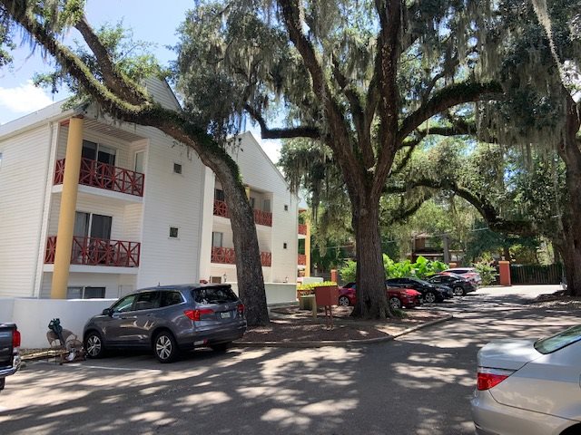 317 Hayden Road 5, TALLAHASSEE, FL 32304