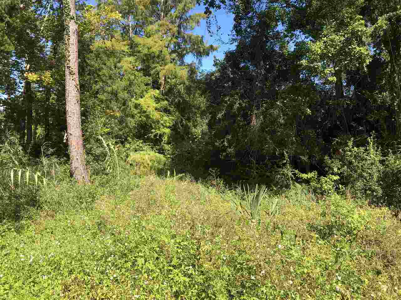 708 & 710 Georgia Avenue, CARRABELLE, FL 32322