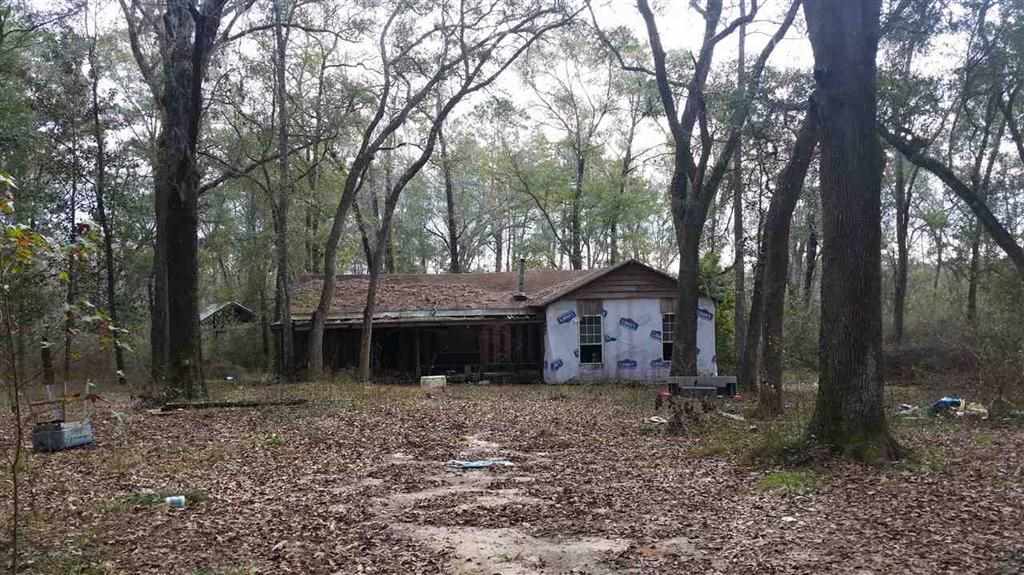 232 E Bear Hollow Trail, GREENVILLE, FL 32344