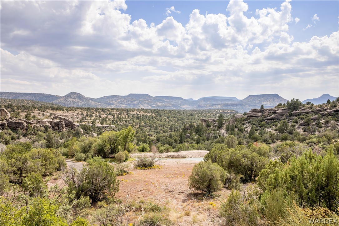 Listing photo id 40 for 18723 Knight Creek Road