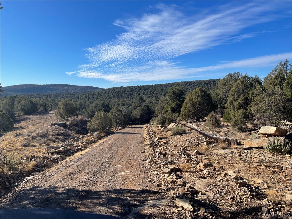 Listing photo id 26 for 0000 Lookout Canyon Road
