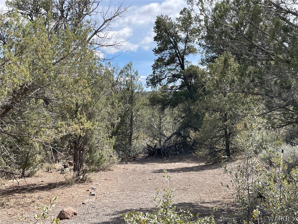 Listing photo id 2 for 4619 Lookout Canyon Road