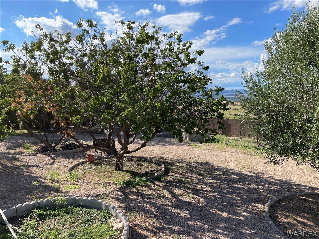 Listing photo id 57 for 4351 Pinto Road