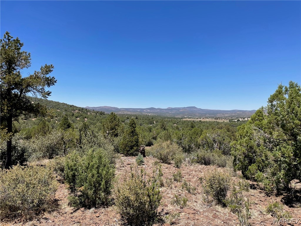 Listing photo id 38 for 2404 Knight Creek Road